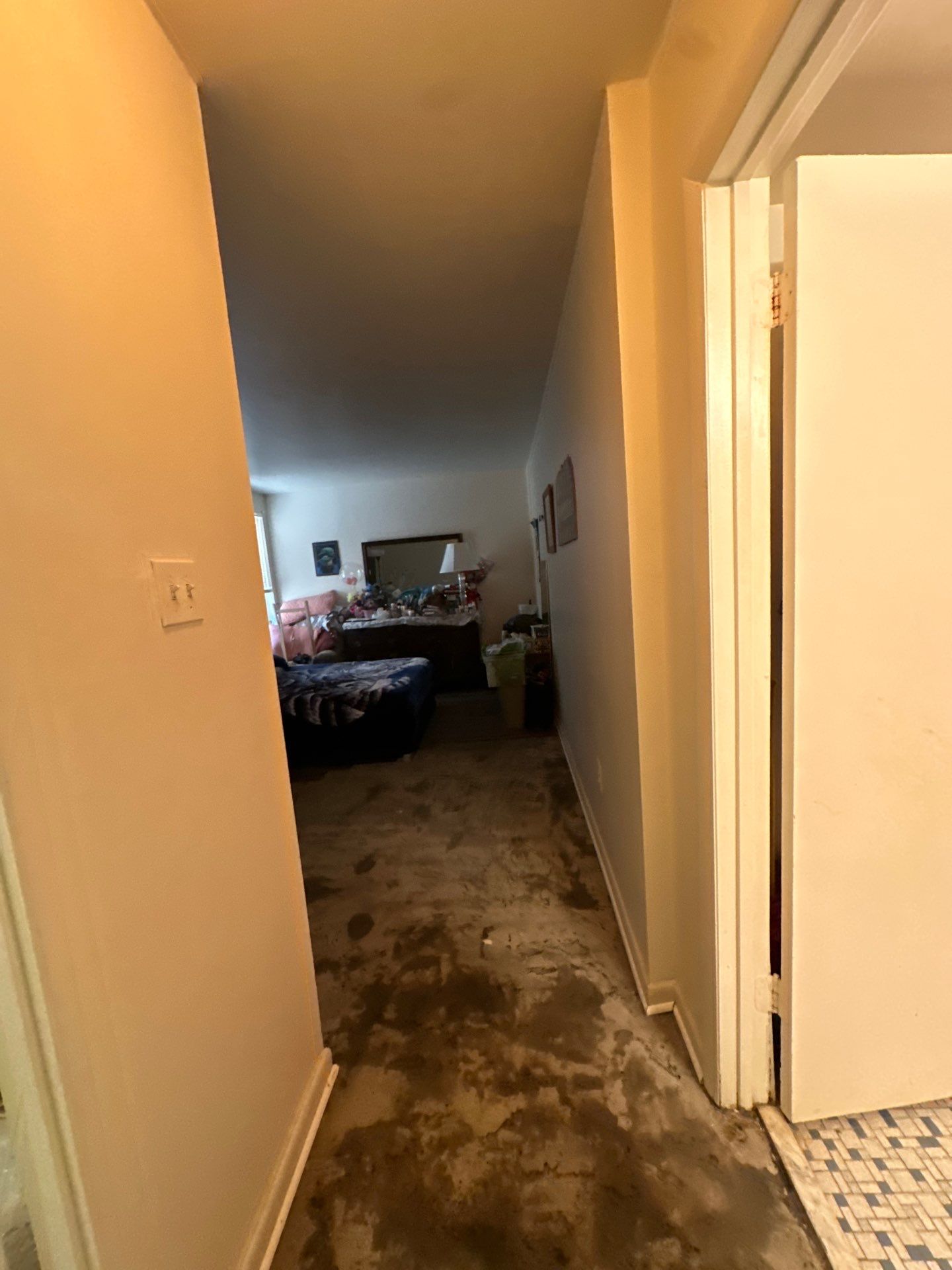 Restored flooring and sanitized surfaces following completion of water damage remediation.