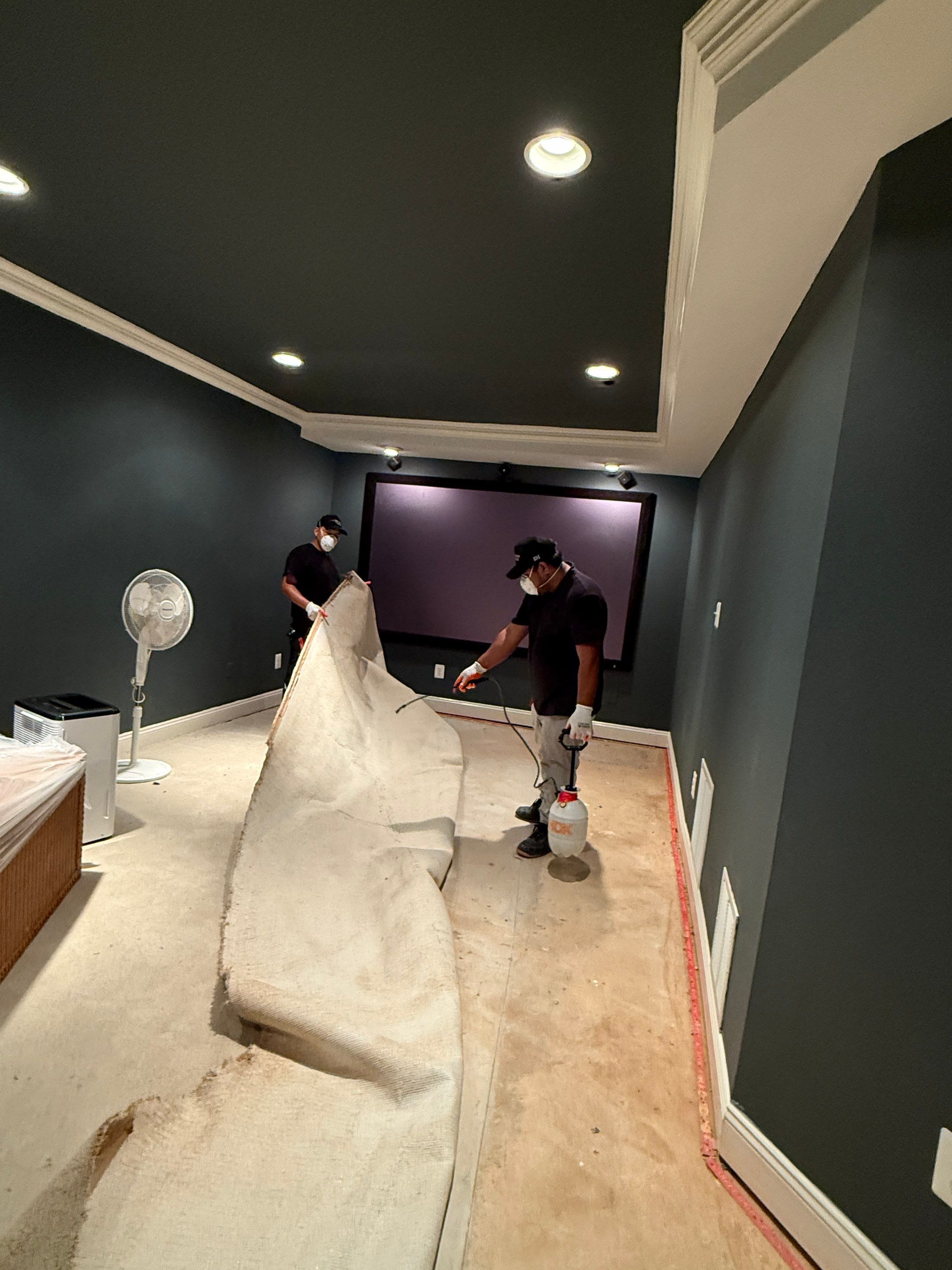 Mold remediation in Great Falls concluded, structural drying and sanitizing complete.