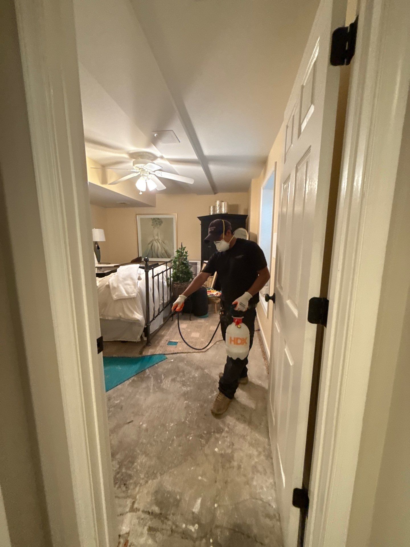 Water extraction equipment deployed during mold remediation in Herndon, affected flooring exposed.