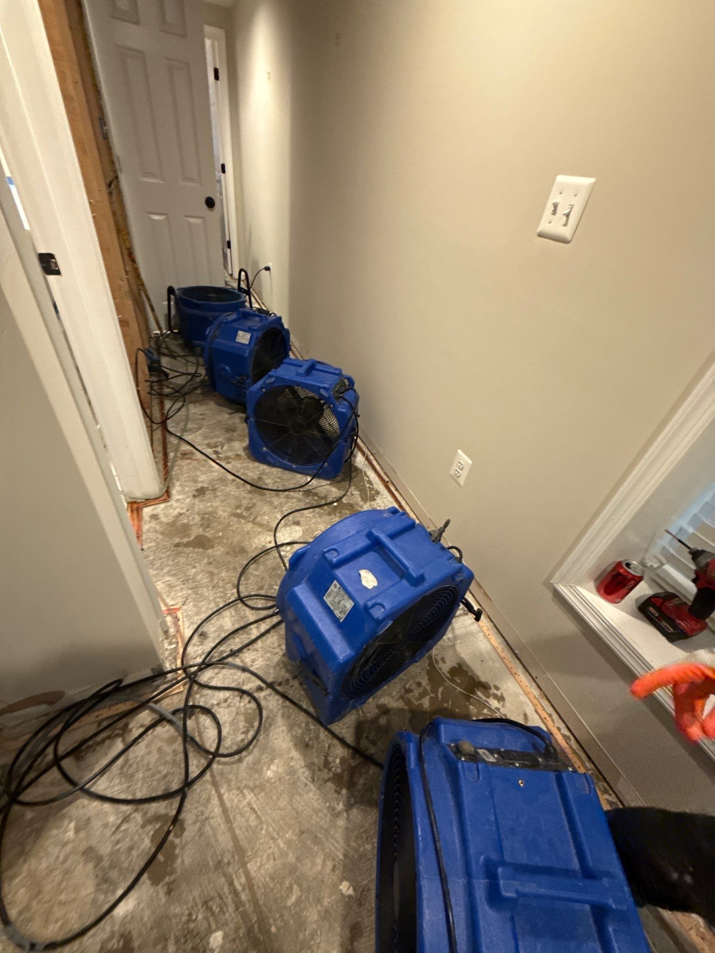Dried and cleared space following mold remediation and carpet replacement in Herndon.