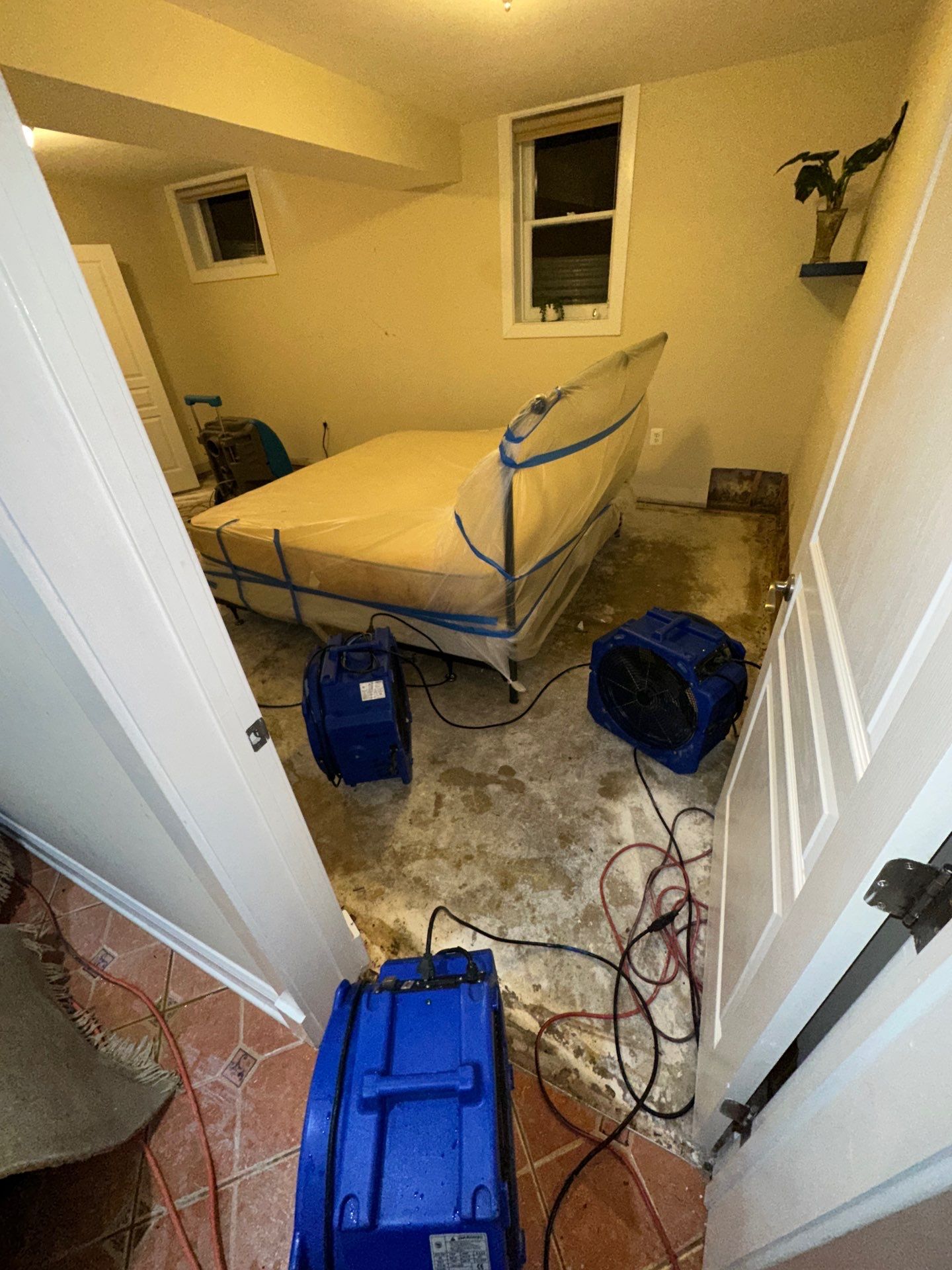 Wall section prepared for replacement as part of Arlington mold remediation.