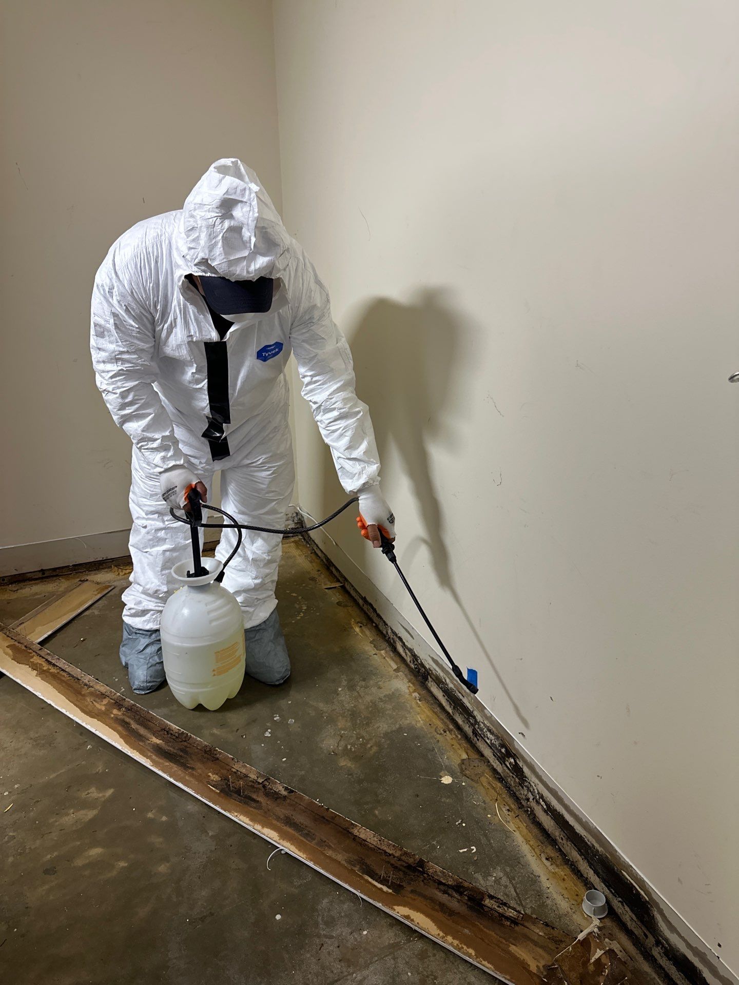 Structural drying equipment positioned to arrest moisture in affected areas.