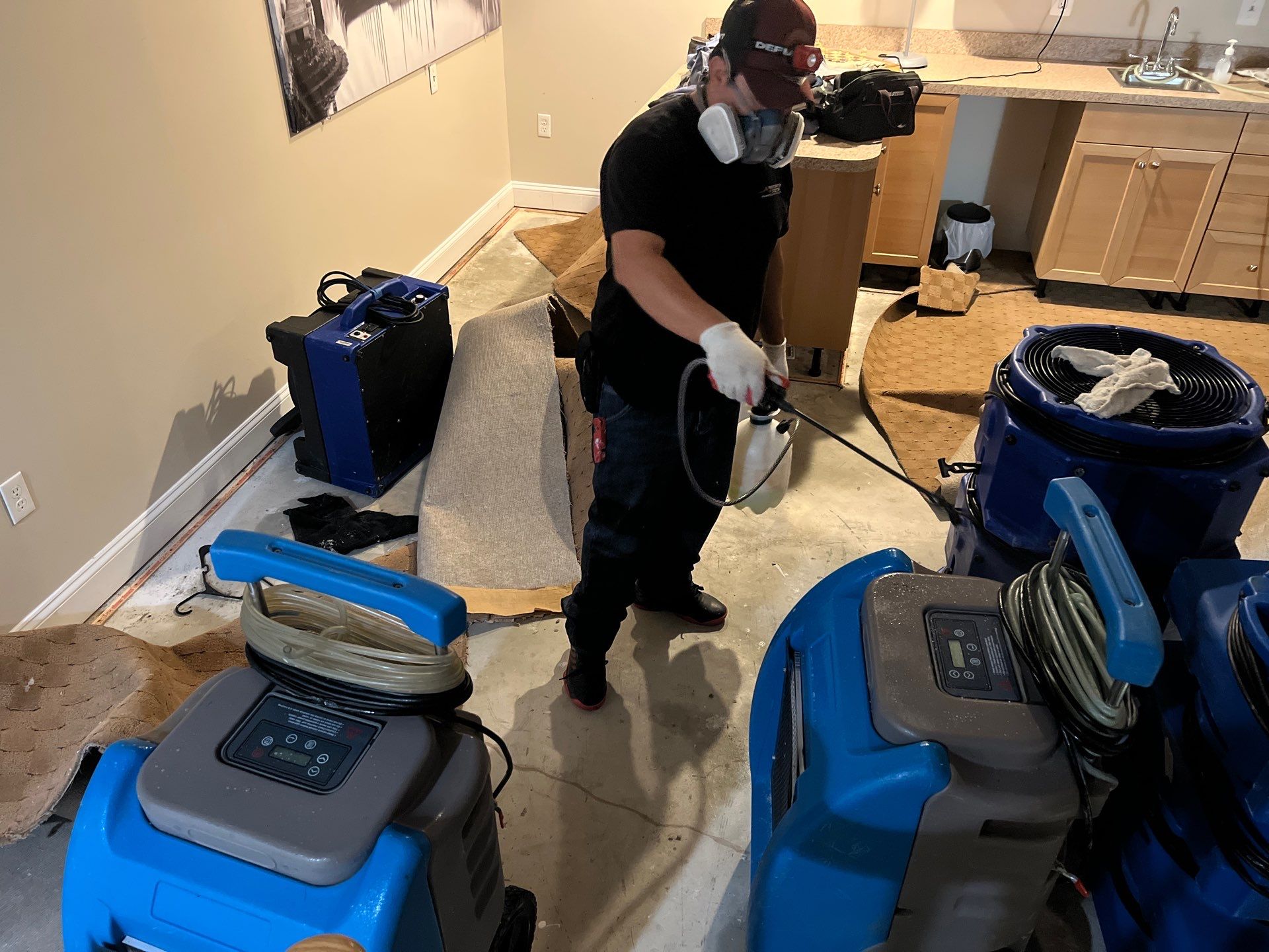 Advanced drying phase with equipment monitoring moisture levels in flooring and structural materials.