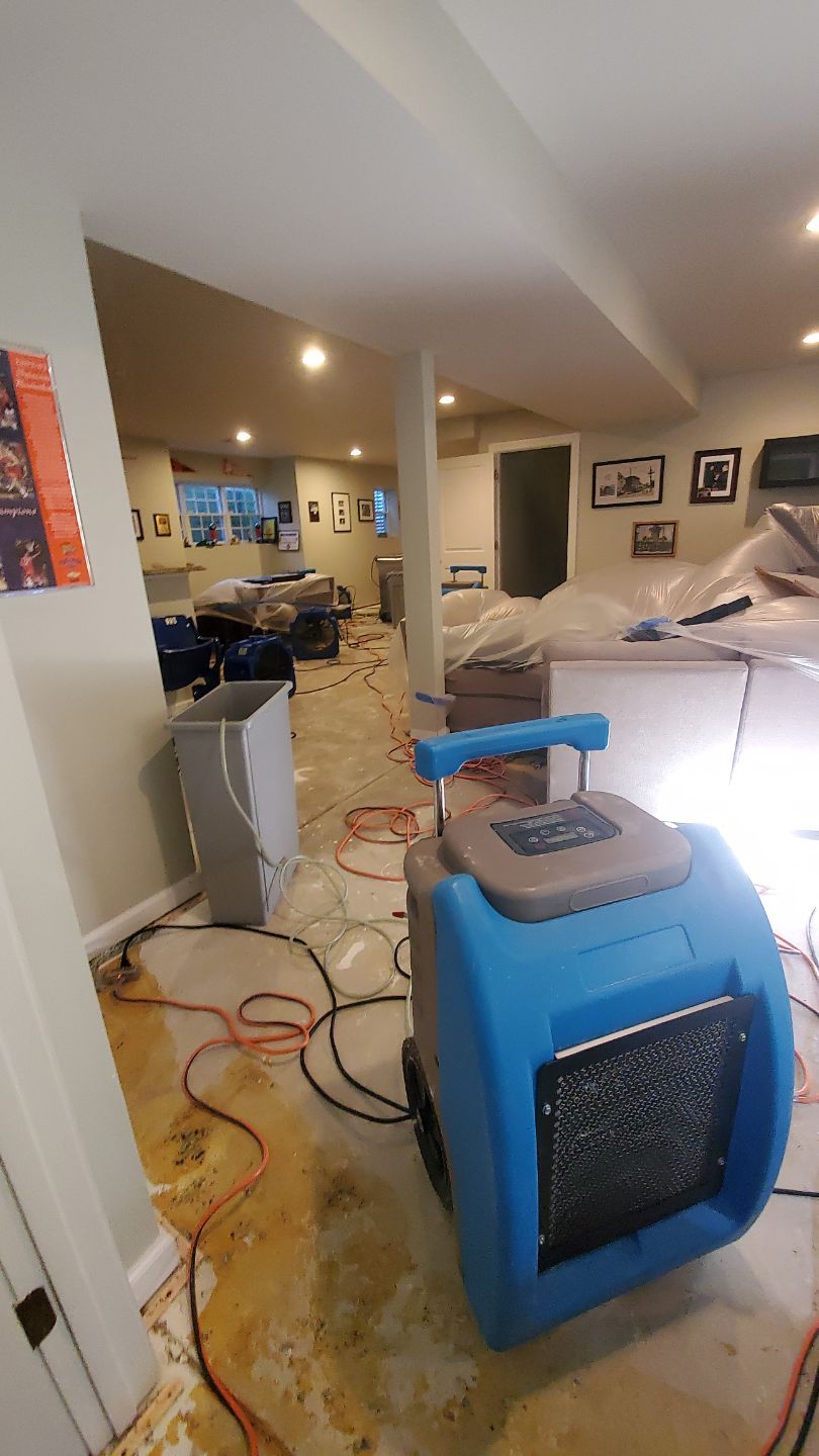 Mid-stage structural drying showing equipment placement and carpet remediation progress in Alexandria water restoration.