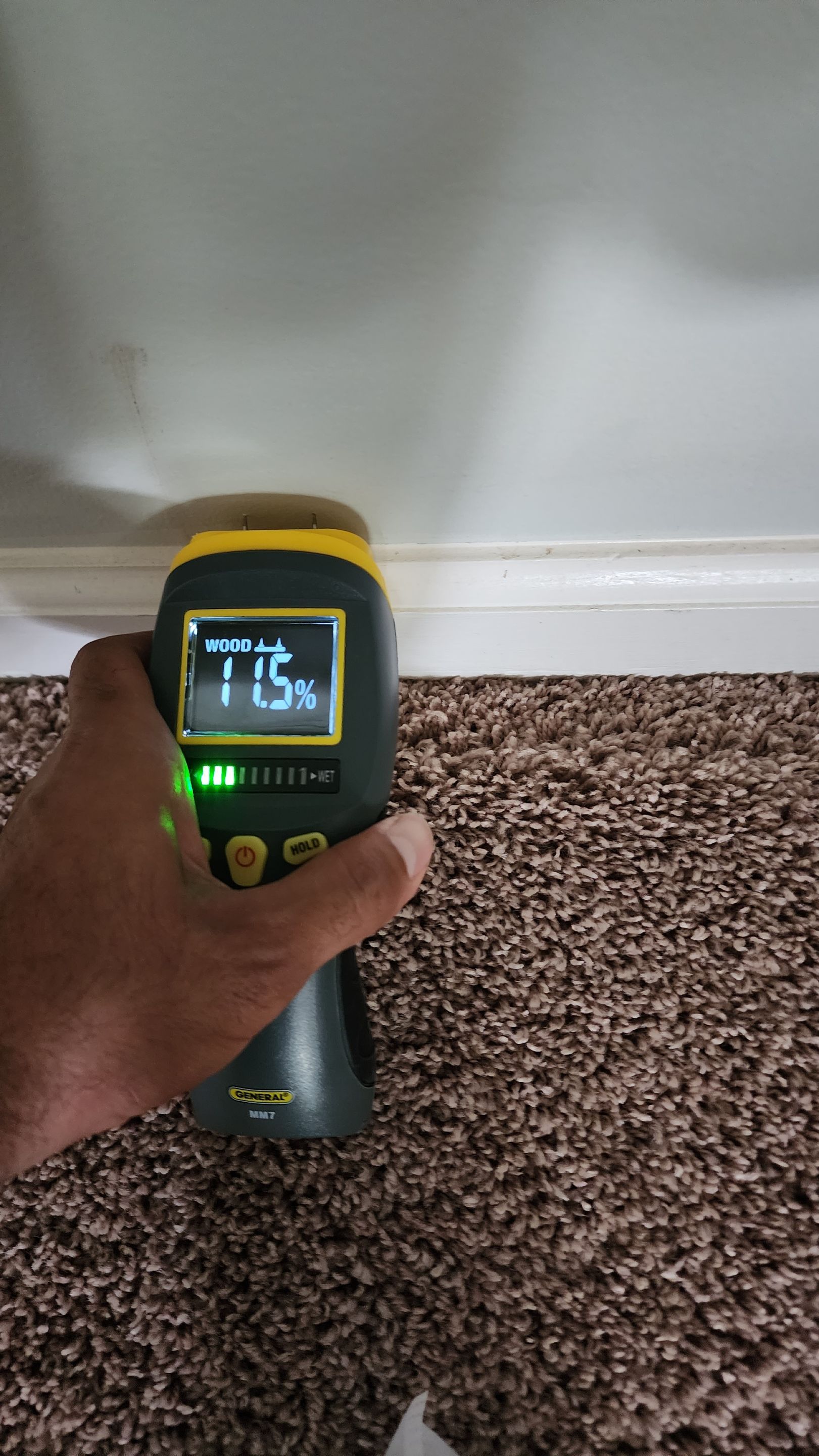 Advanced drying phase with equipment monitoring moisture levels in flooring and structural cavities.
