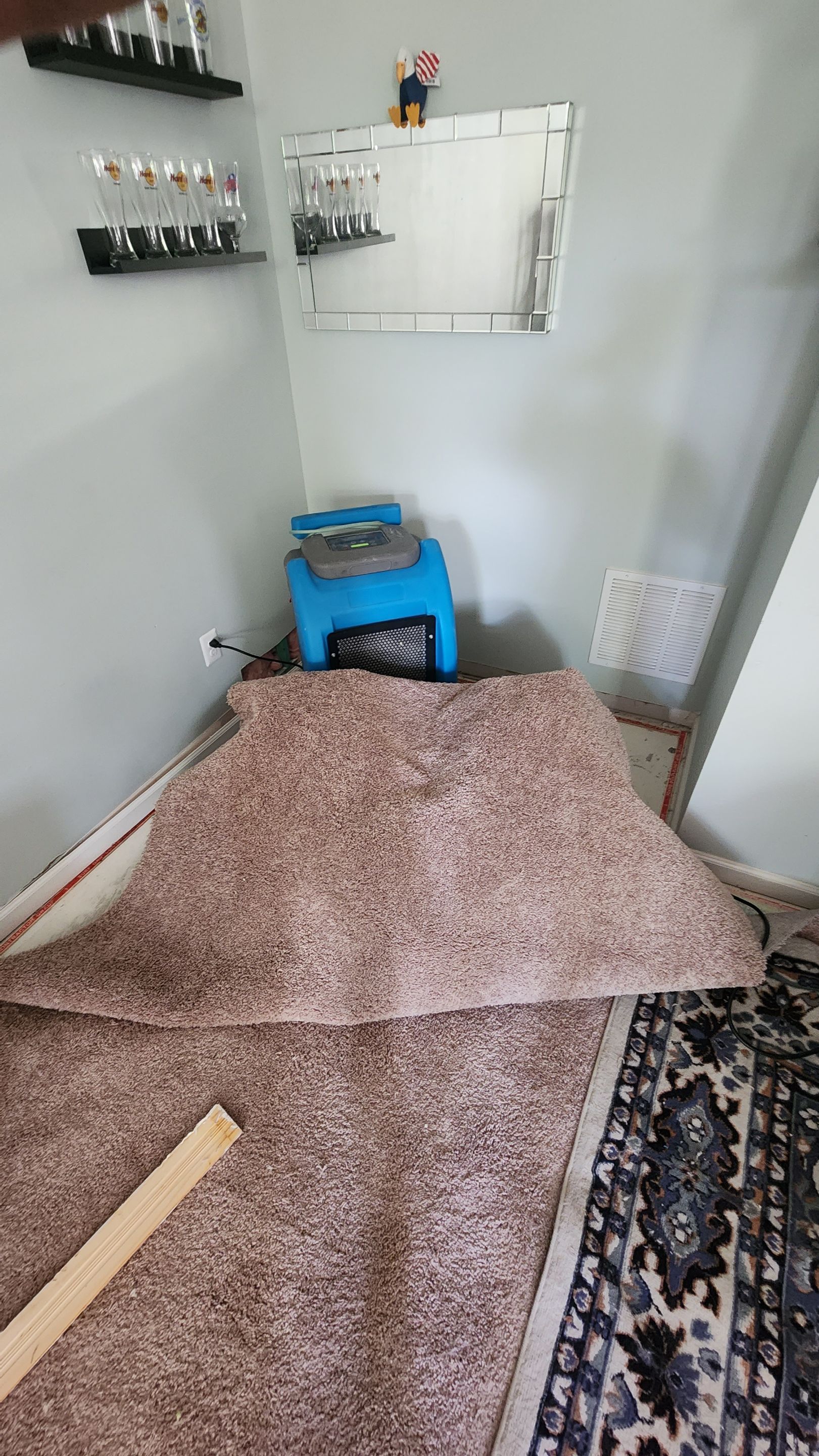 Continued dehumidification and structural drying process targeting saturated carpet and subfloor materials.