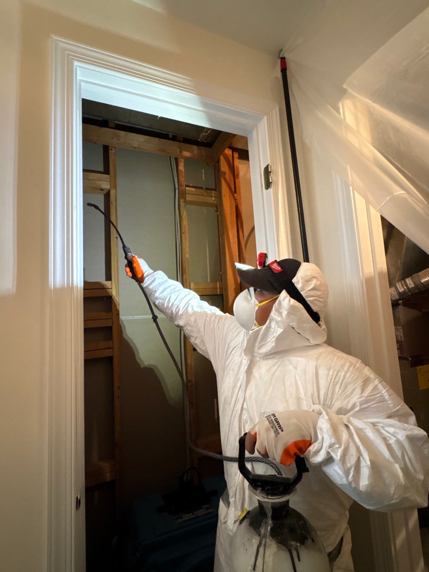 Wall cavity inspection and preparation for affected material removal.