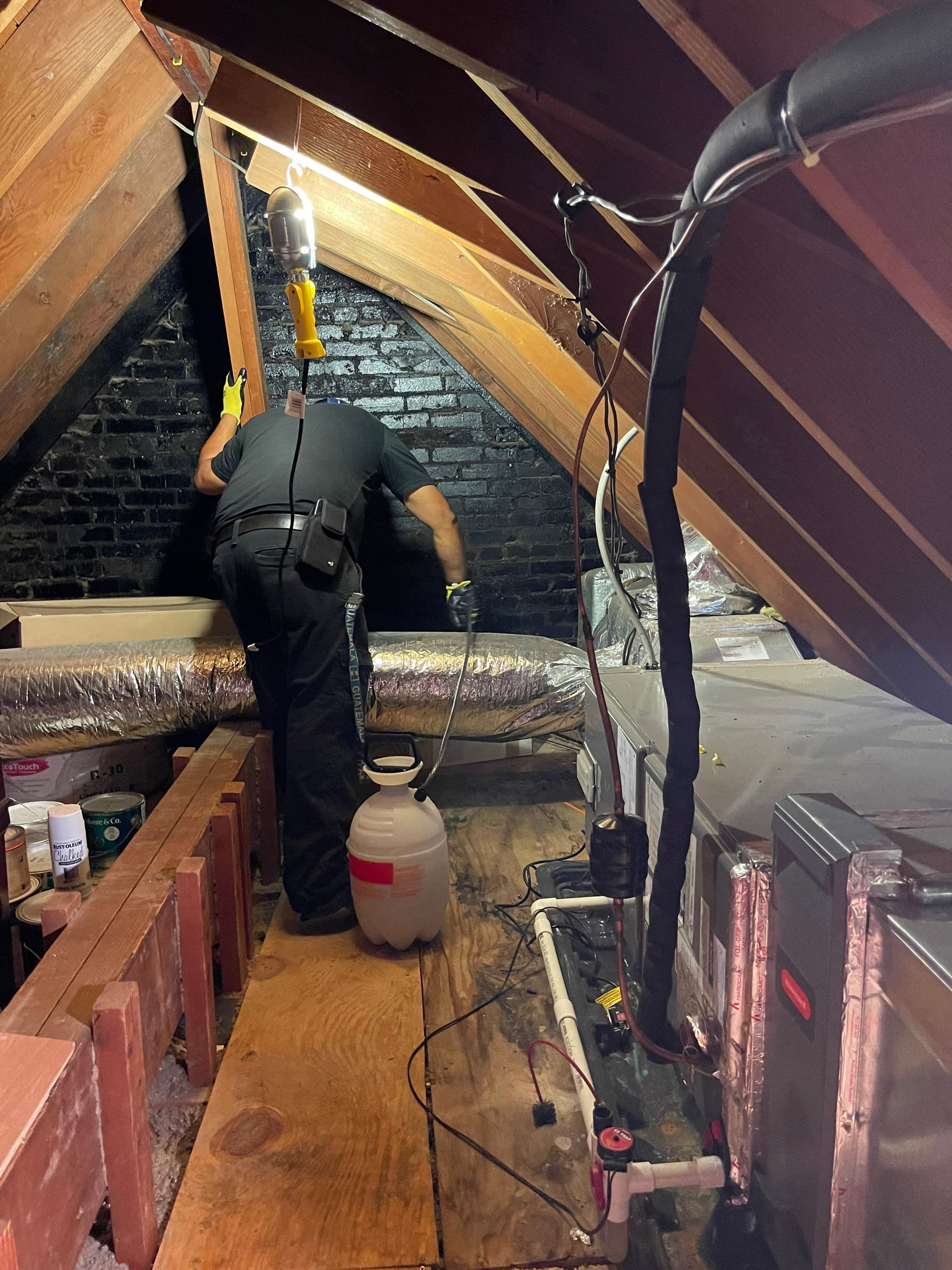 Advanced drying phase with equipment monitoring moisture levels in flooring and structural materials.