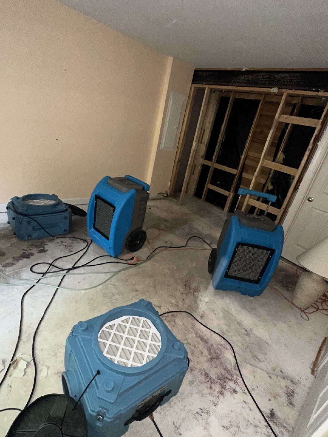 Carpet removal and subflooring exposure as part of water damage remediation in Leesburg.