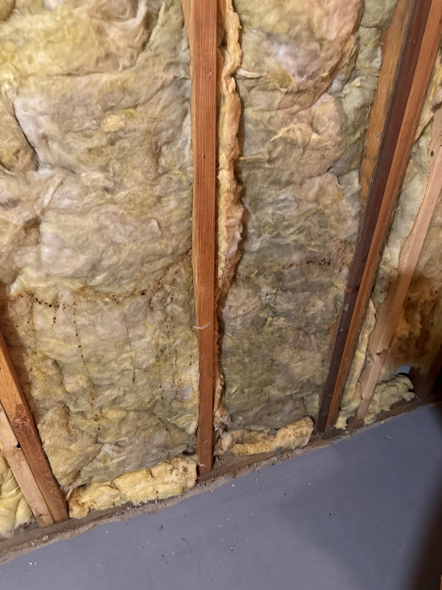 Repaired and sanitized ceiling restored to serviceable condition after water damage and mold removal.