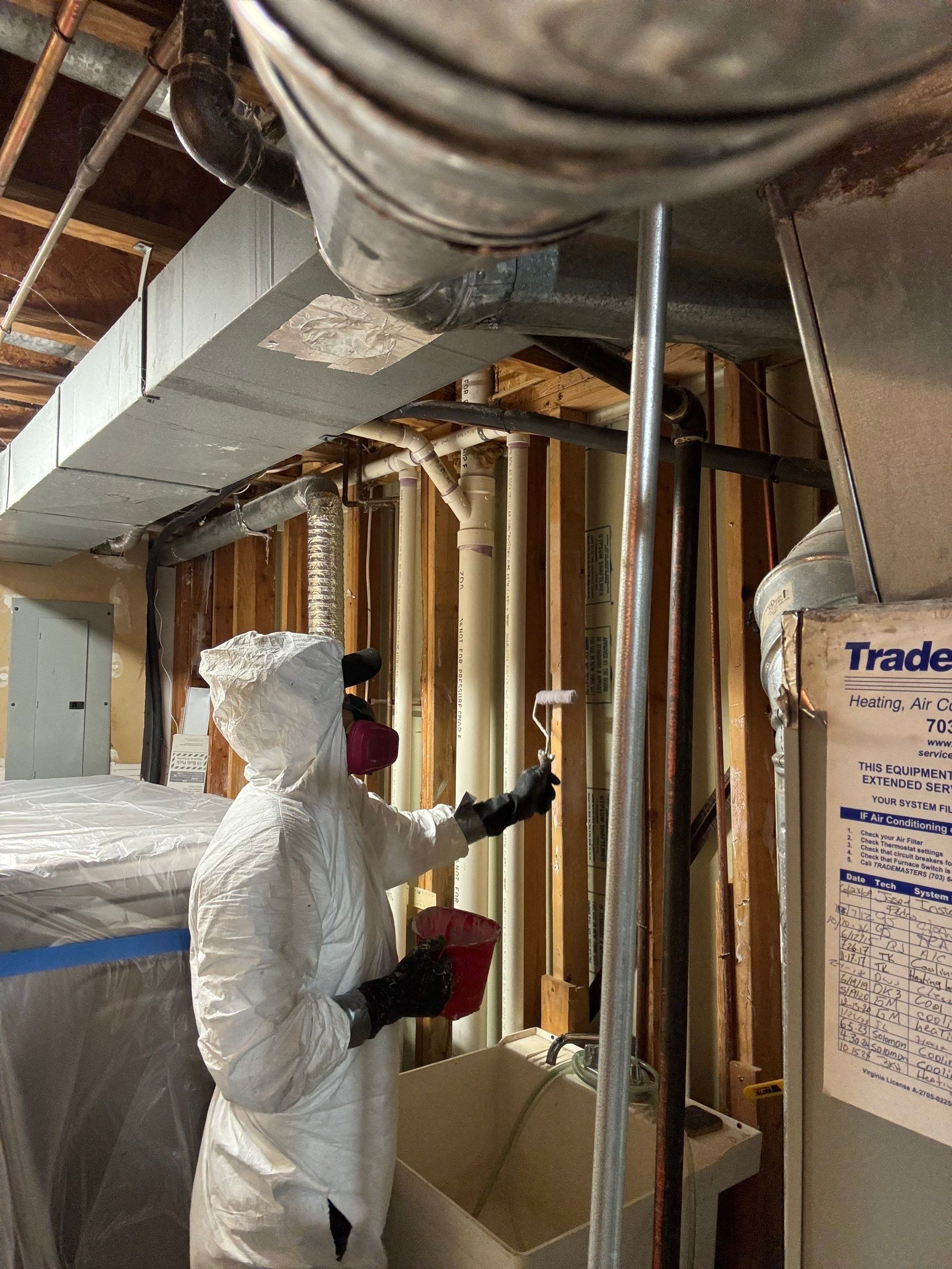 Water-damaged ceiling with discoloration and mold growth documented during initial assessment in Alexandria.