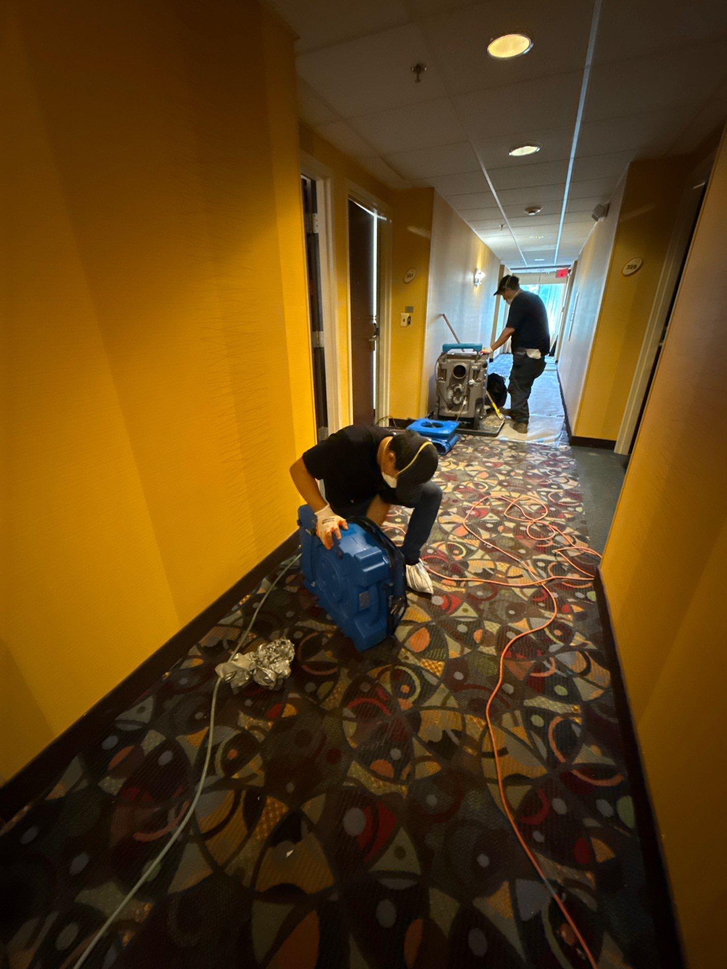 Containment barrier and negative air setup isolate affected zones during mold remediation work in Manassas.