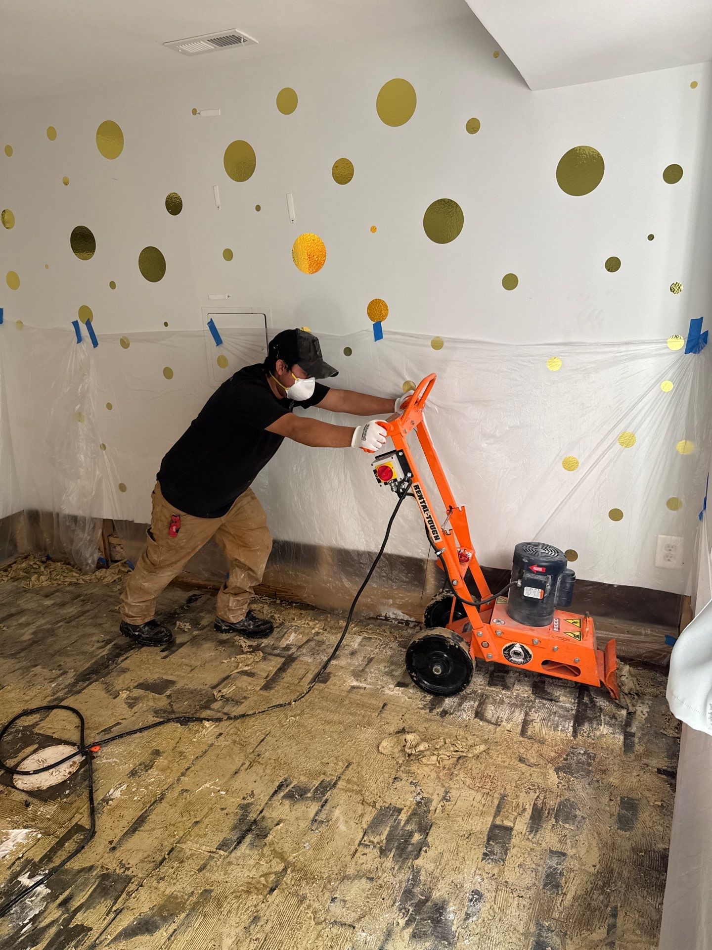 Wet carpet and baseboards removed during mid-stage mold remediation work to eliminate contaminated materials.