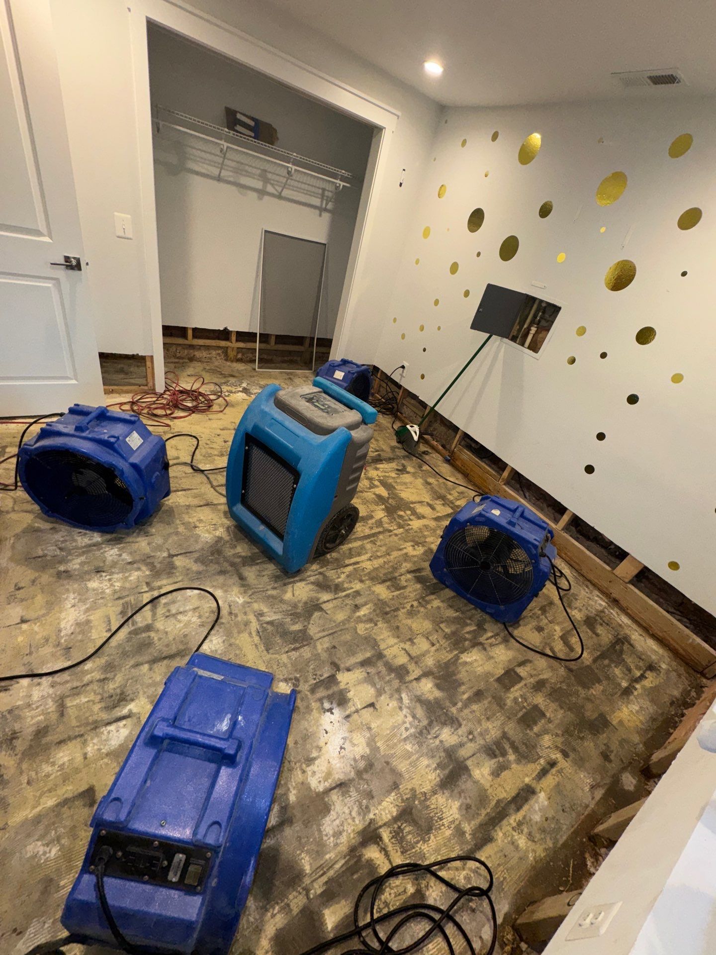 Mold remediation in Fairfax begins with structural drying equipment positioned to arrest moisture and prevent further colonization.