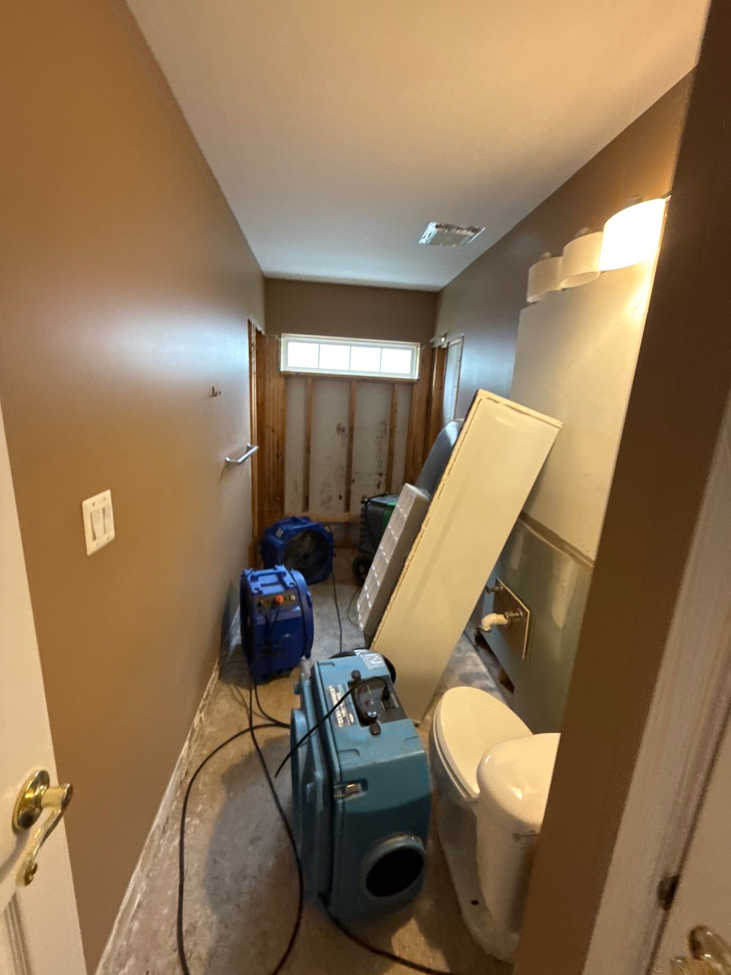 Thermal camera documents moisture distribution across building surfaces.