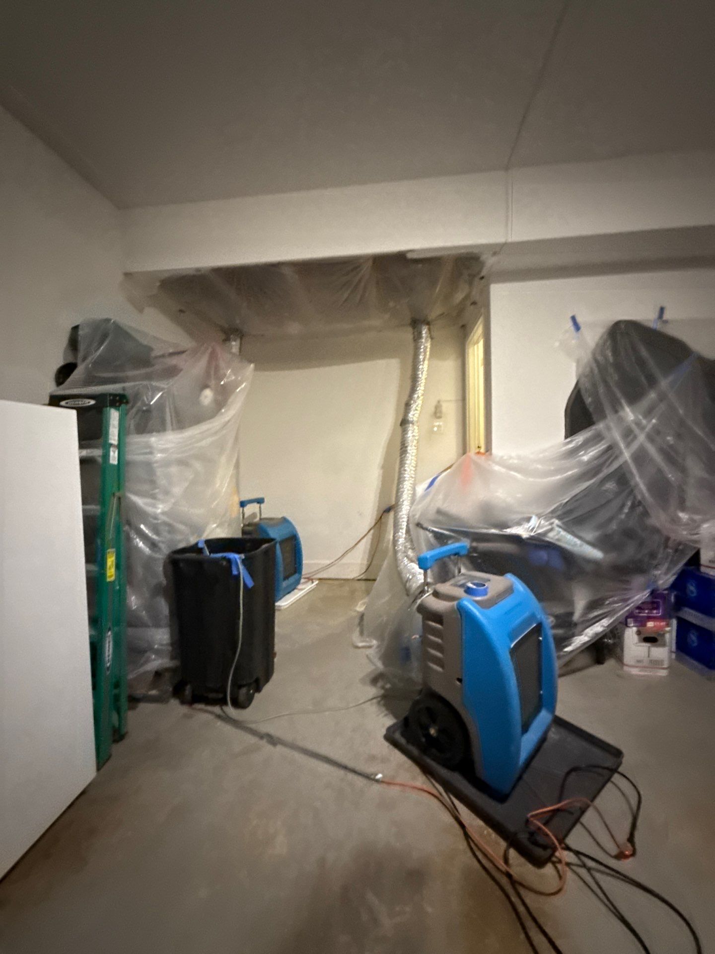 Moisture mapping guides targeted drying in the mold remediation process.