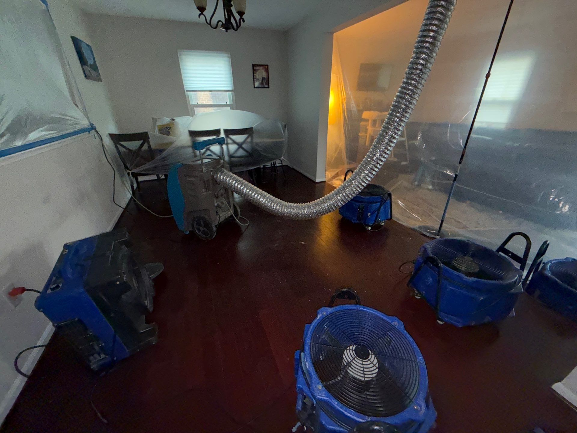 Final inspection confirms structural drying complete, mold remediation work concluded in Centreville.