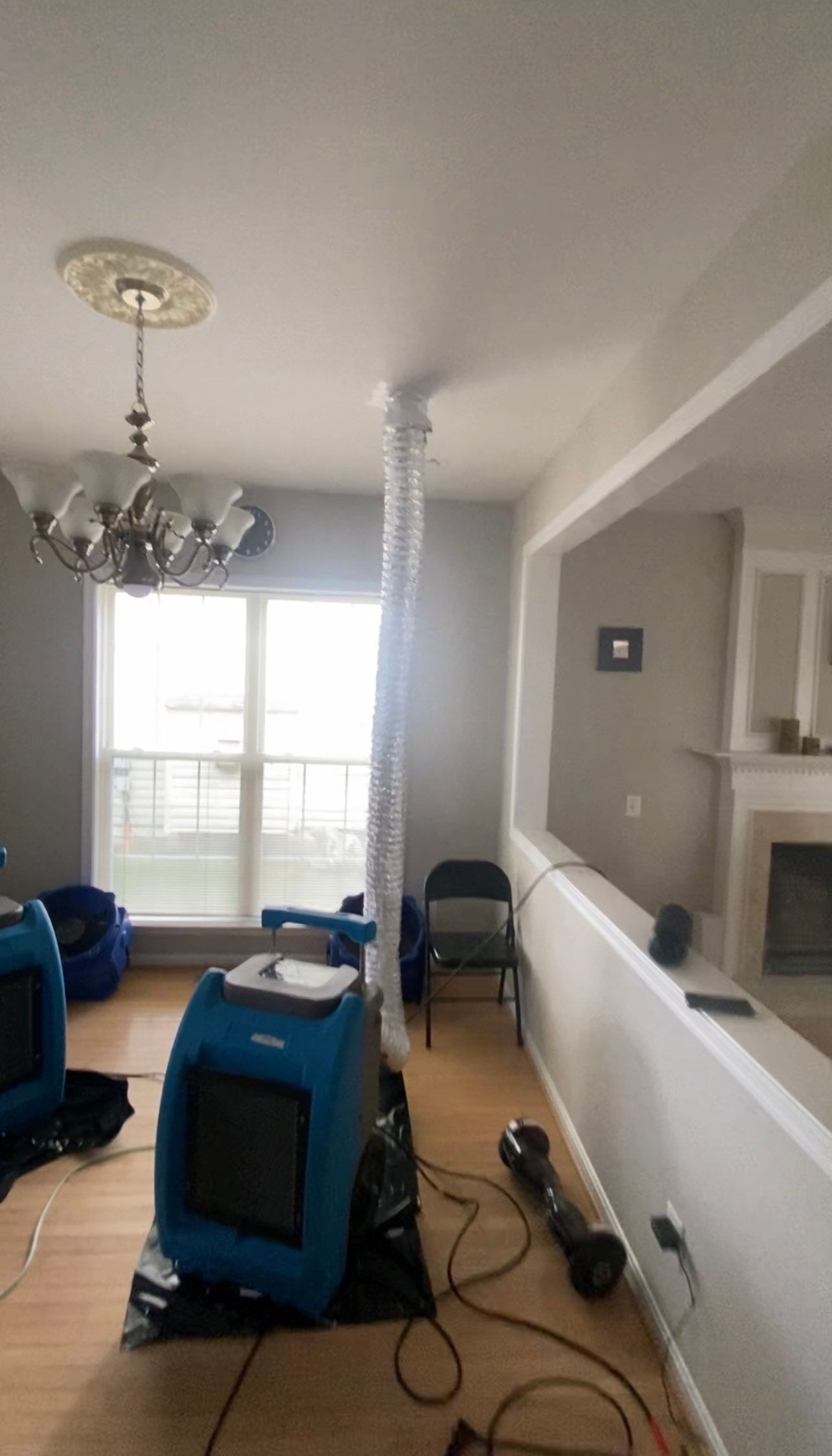 Mold remediation in Reston begins with moisture assessment and dehumidification equipment placement.