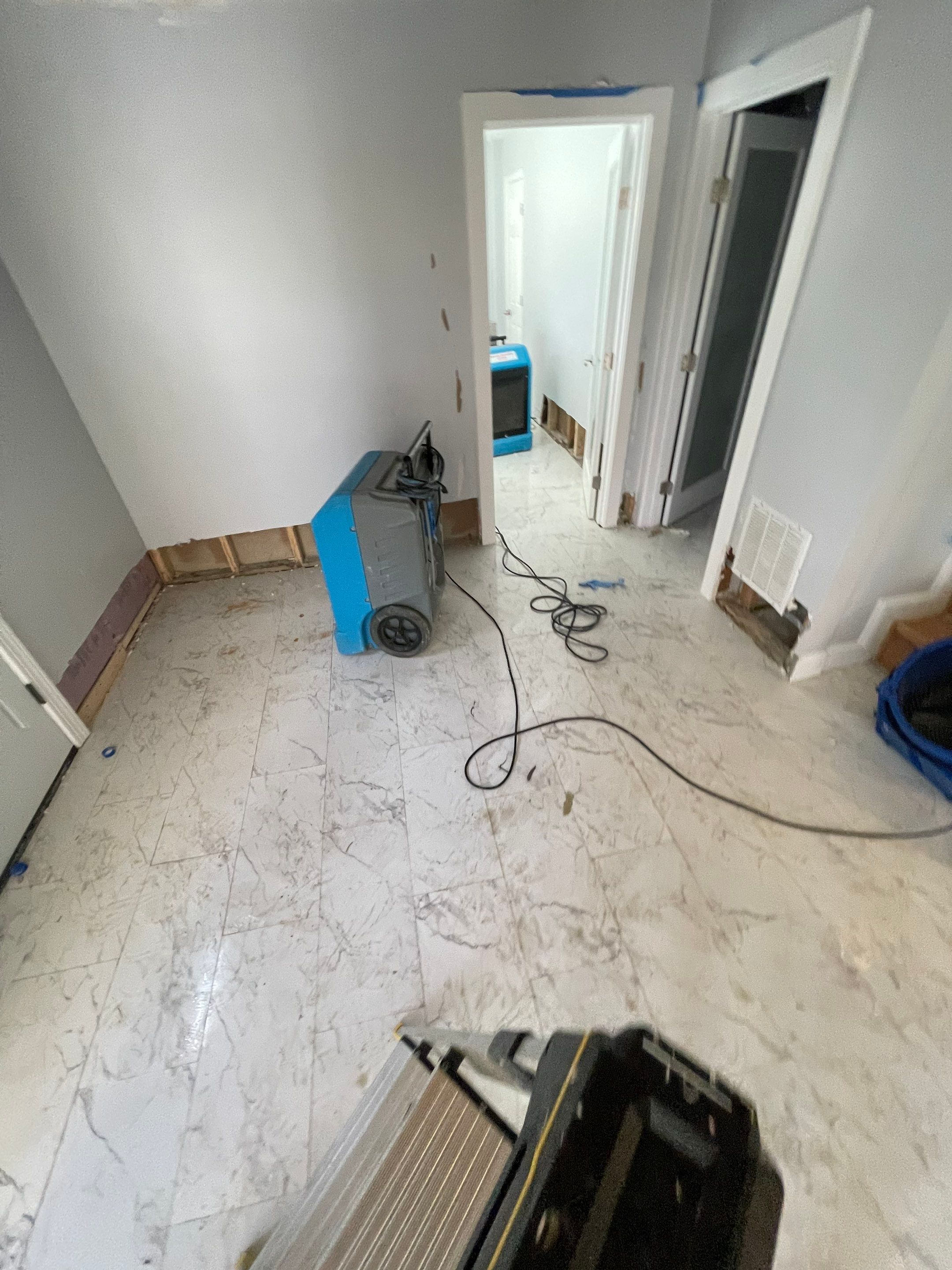 Water-damaged carpet and subfloor in Alexandria home during initial assessment and dehumidification setup.