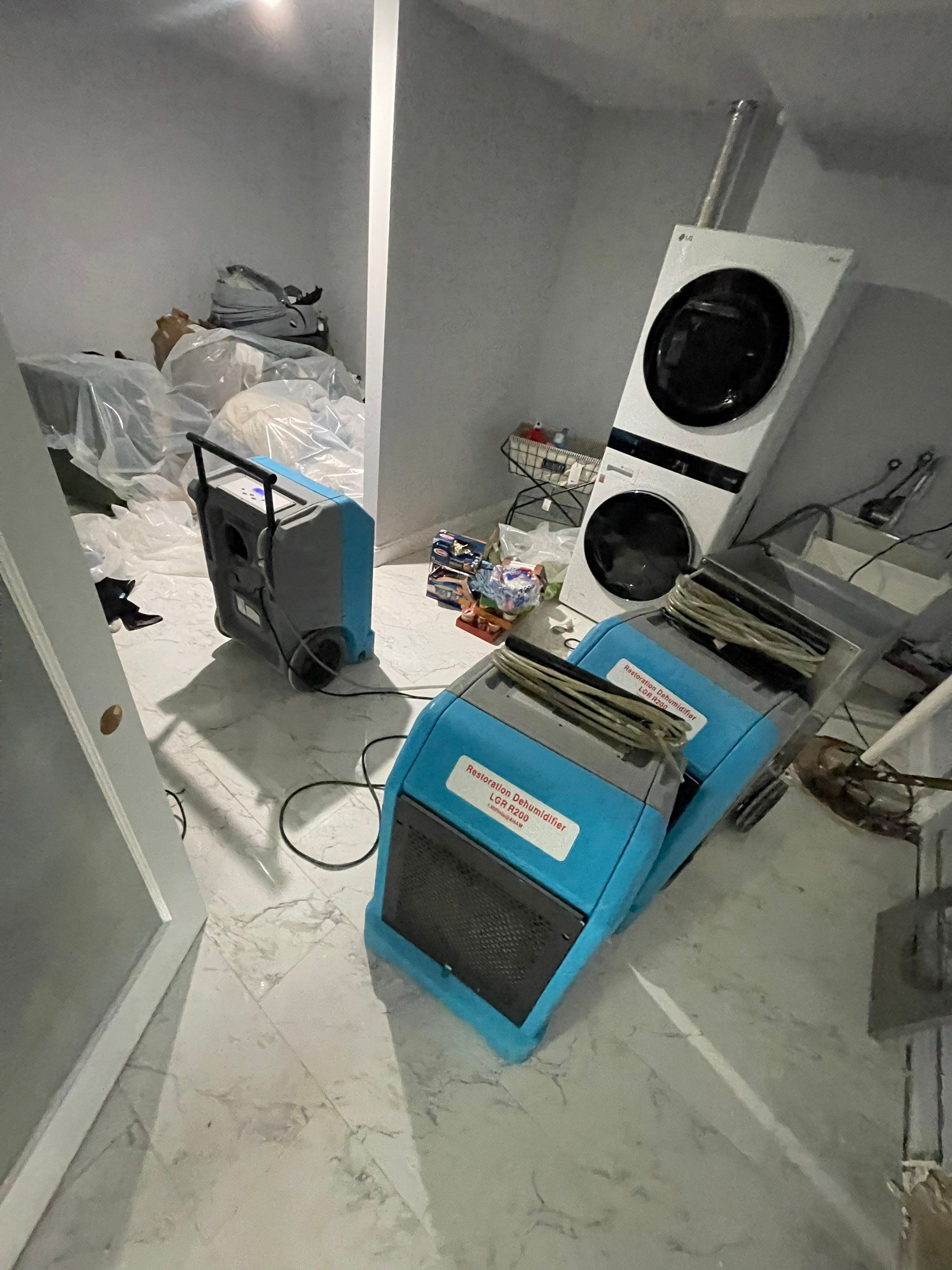 Carpet removal and subfloor exposure for thorough structural drying in Alexandria.