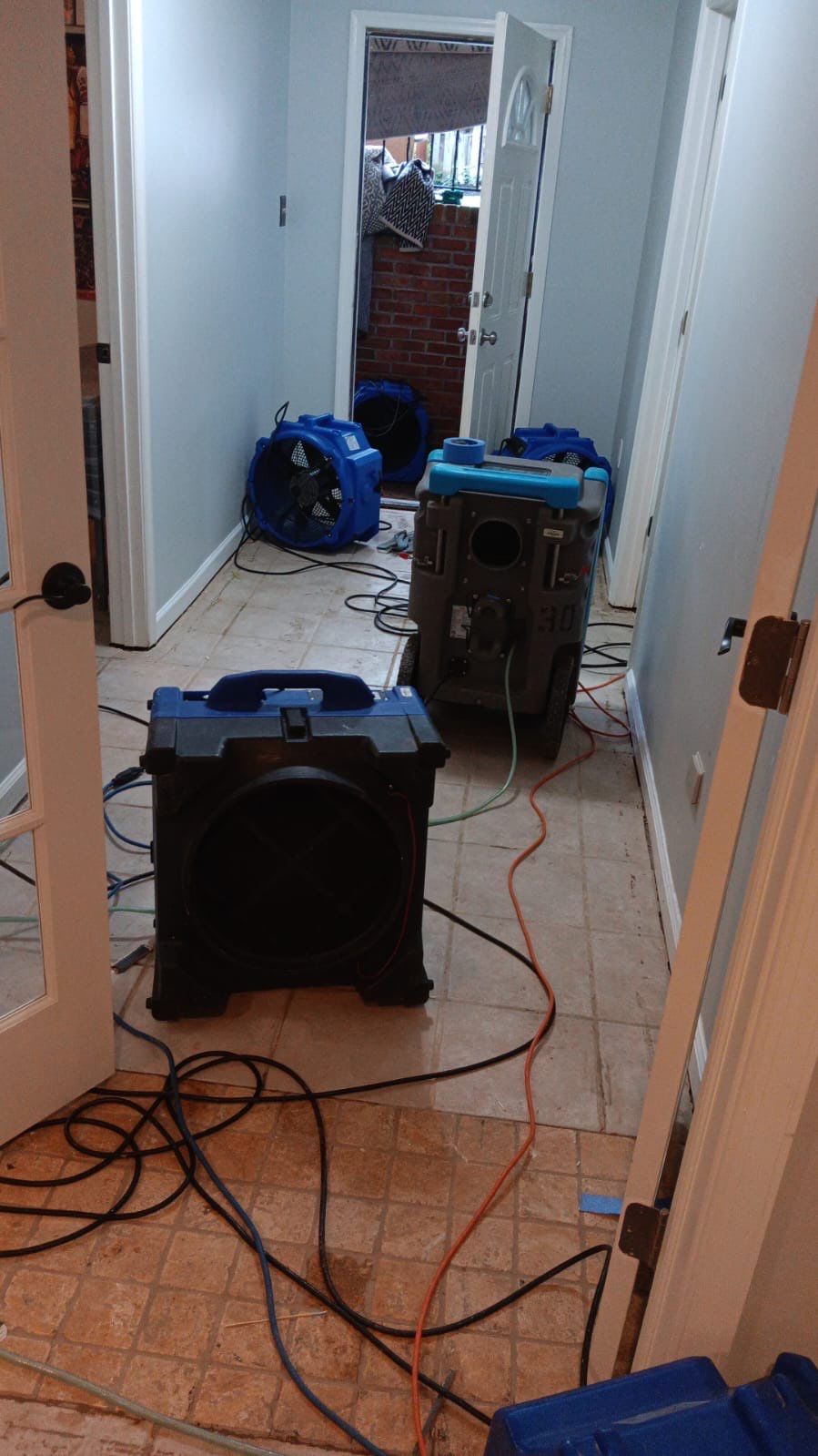 Mid-stage drying setup showing dehumidifiers and air movers during mold remediation work.