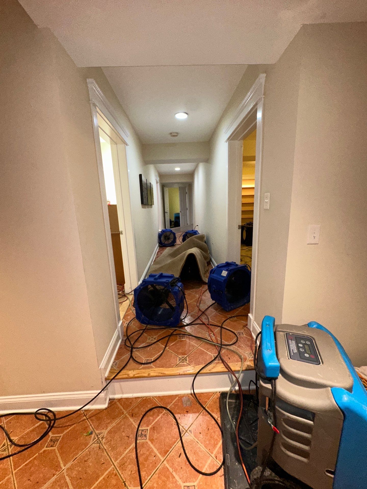 Containment barrier erected during mold remediation in Arlington to isolate affected area before extraction and drying.