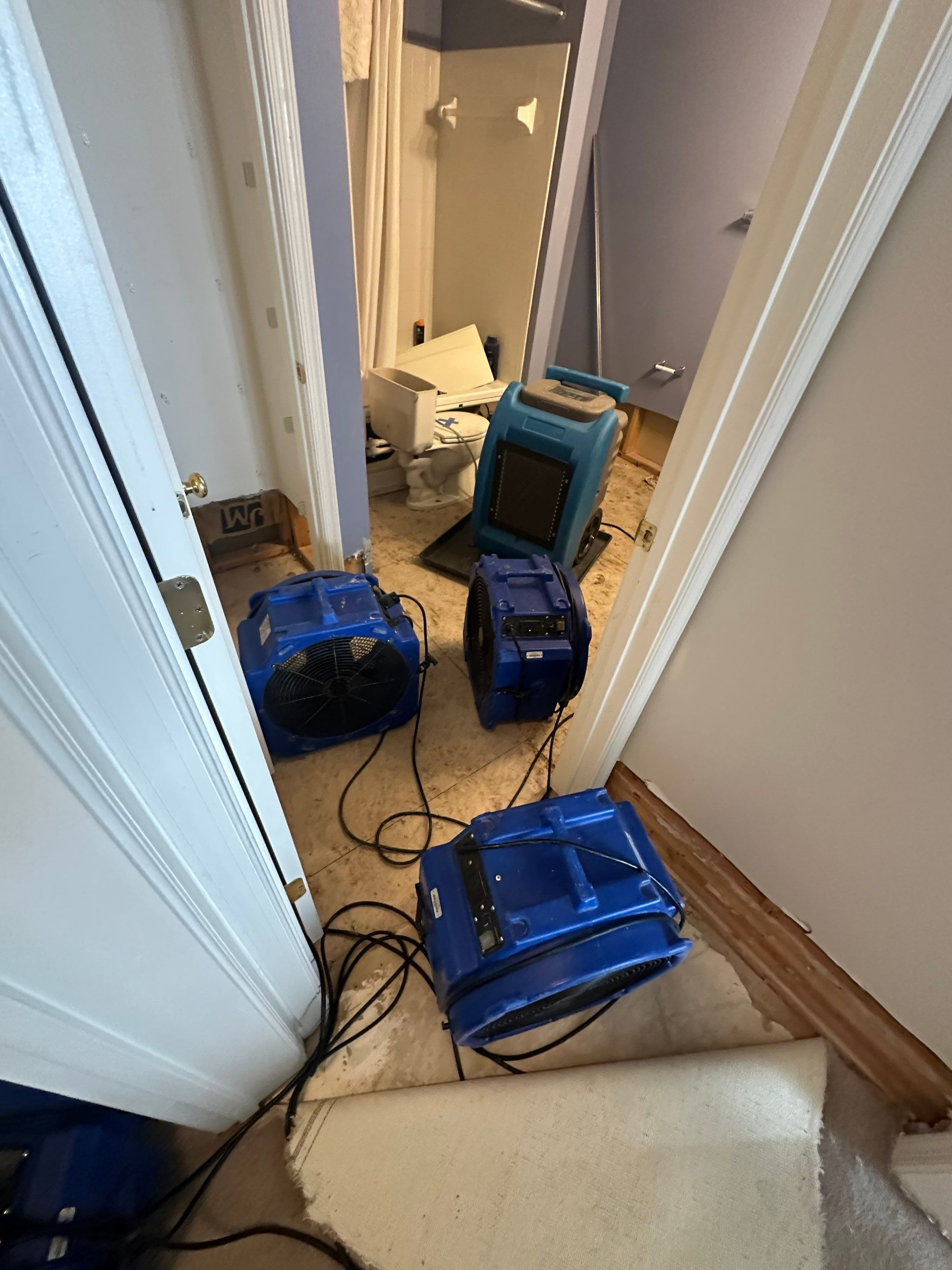 Thermal imaging camera documenting moisture distribution in Reston water damage restoration.