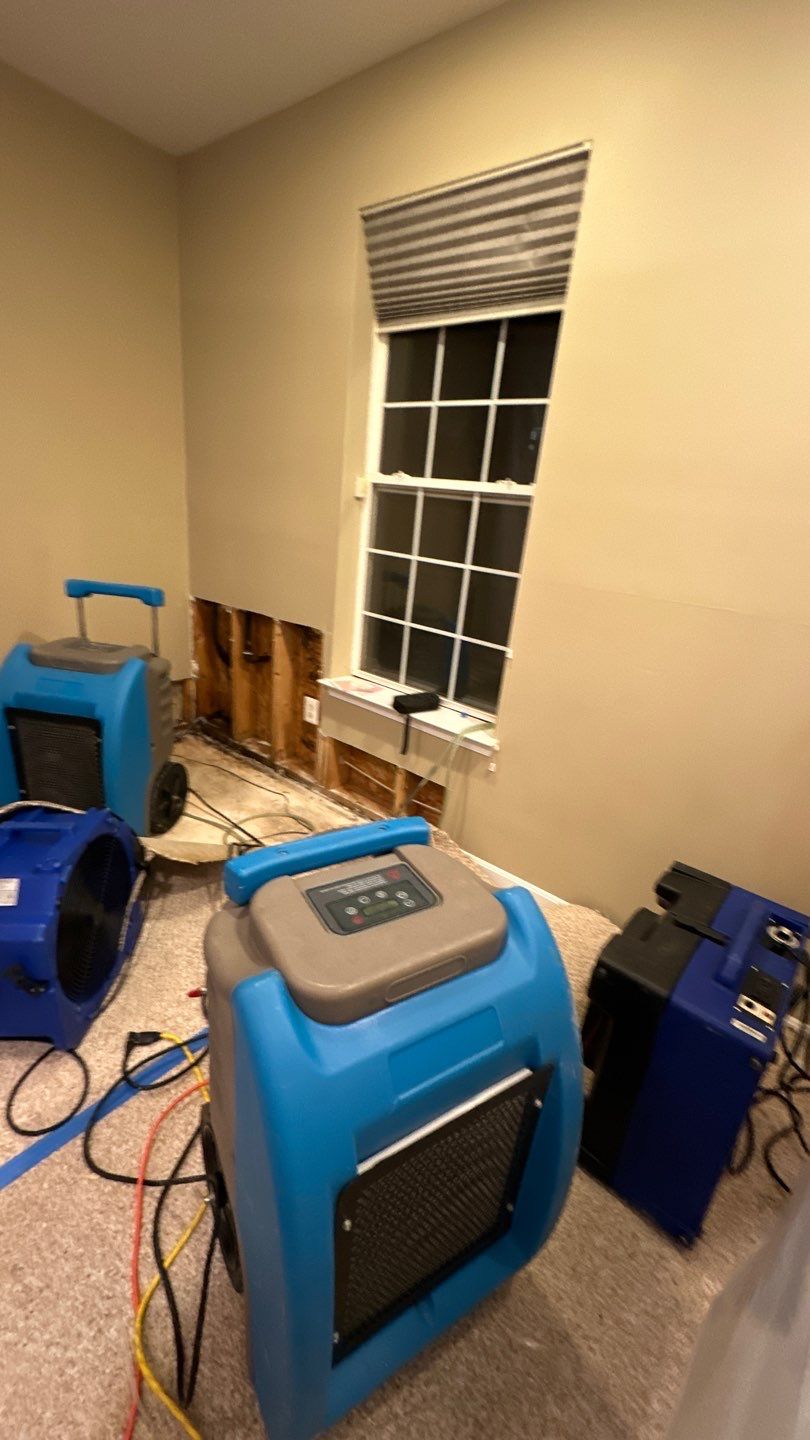 Mold remediation in Sterling begins with dehumidification equipment positioned to extract moisture from affected areas.