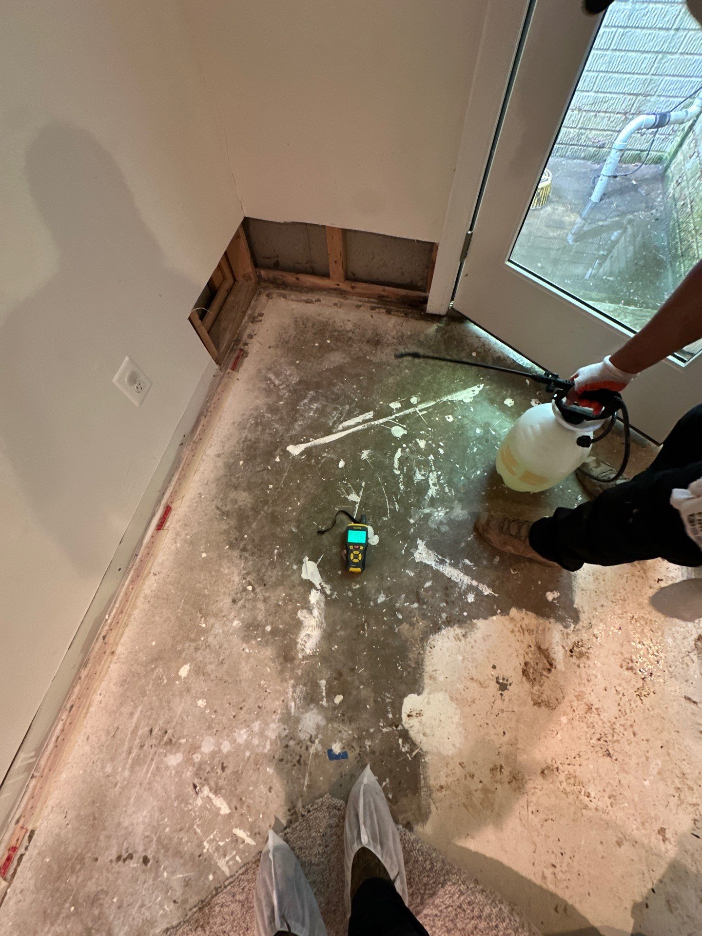 Thermal imaging documenting moisture distribution in affected structural areas.