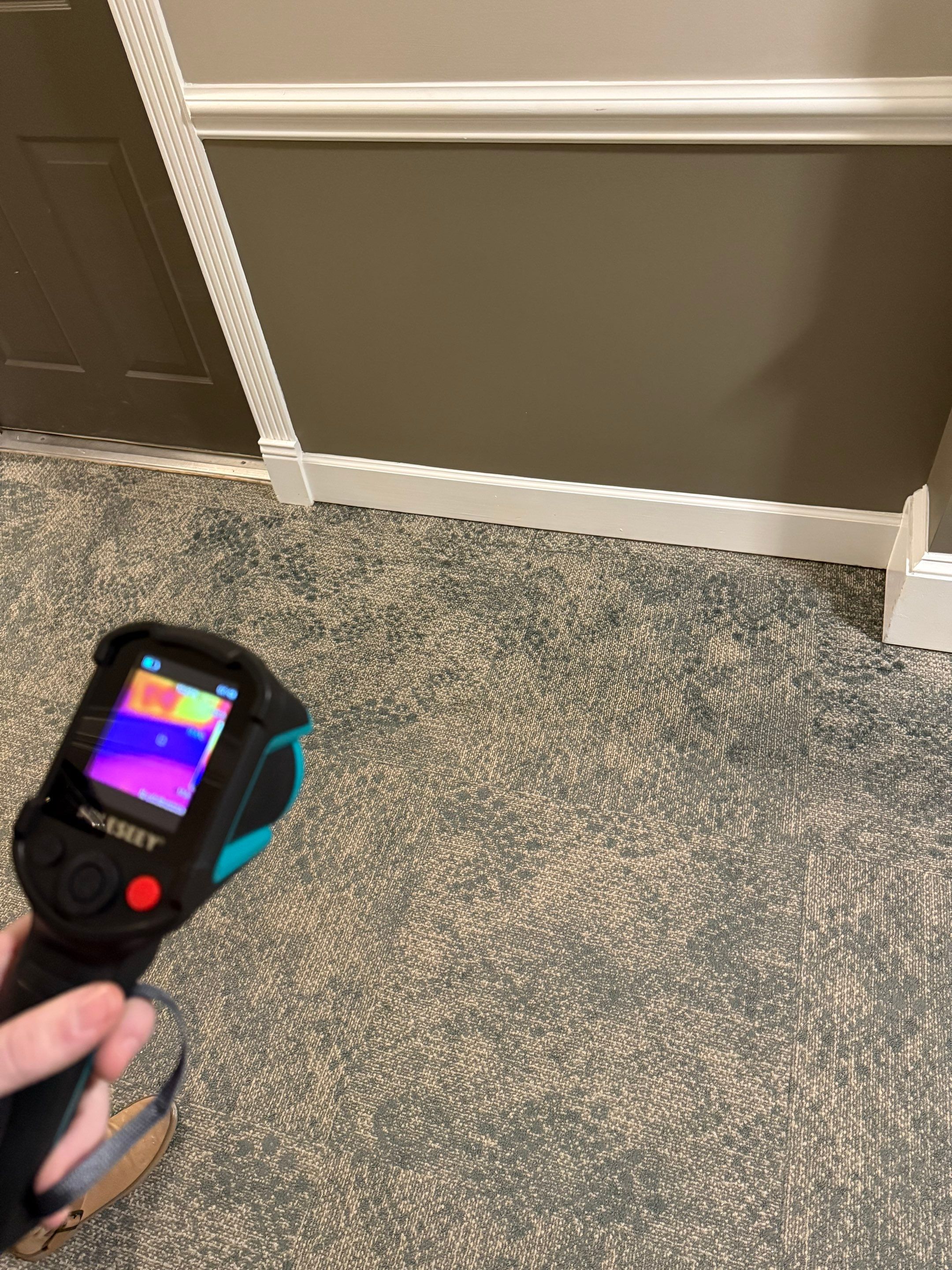 Water-damaged carpet and flooring in Chantilly home marked for removal during initial assessment.