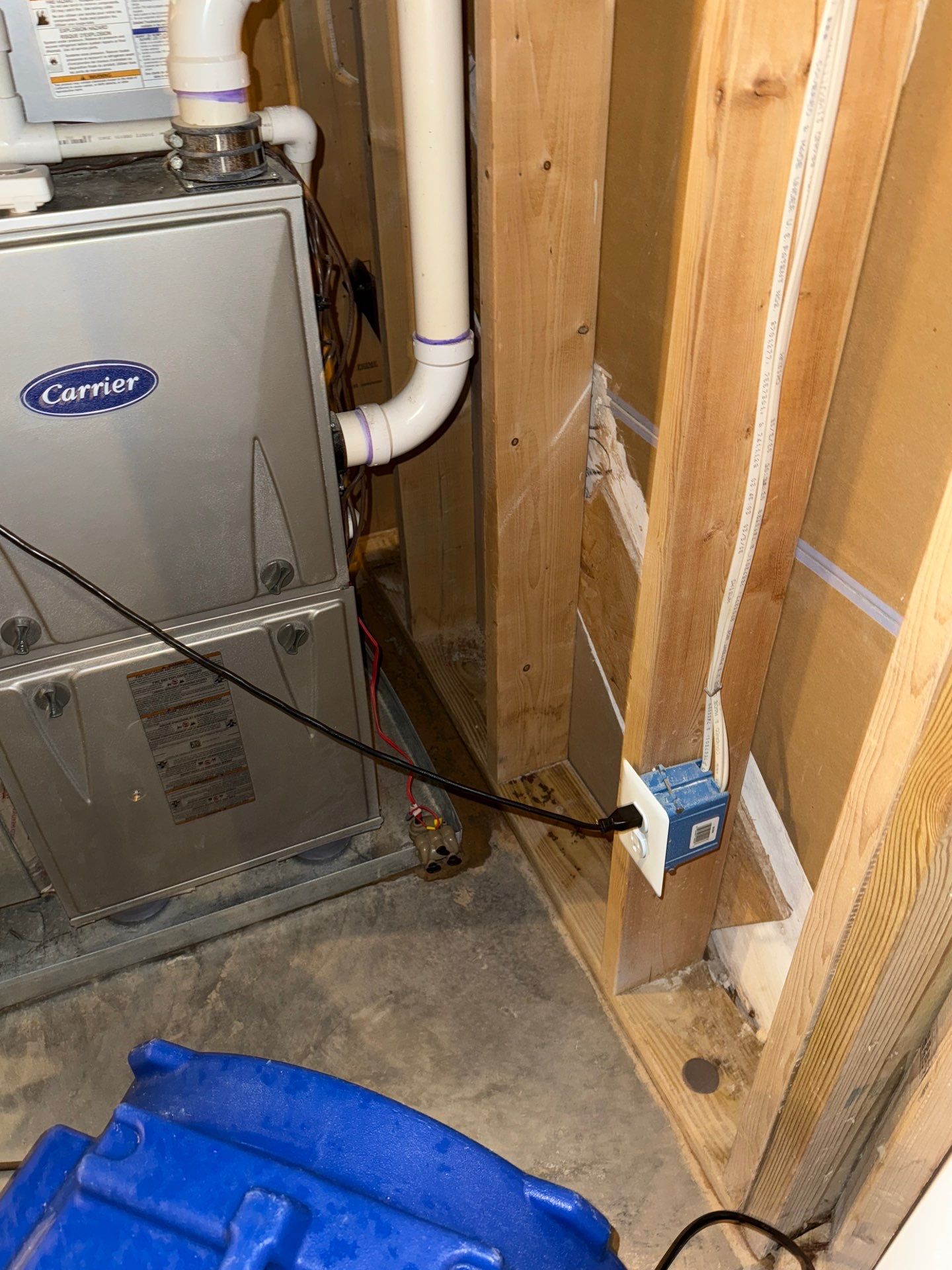 Dehumidification and air movement equipment positioned to dry structural cavities during Arlington mold remediation.