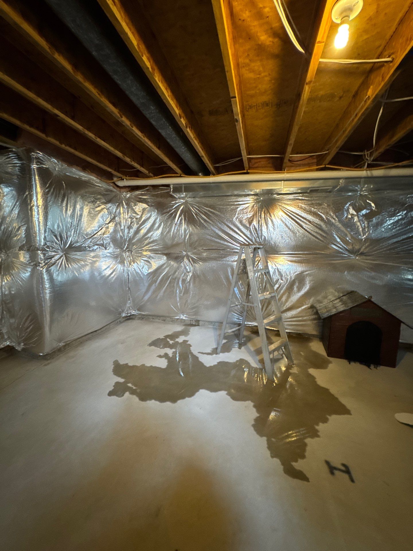 Containment barrier and negative air setup isolating affected ceiling area for safe mold removal.