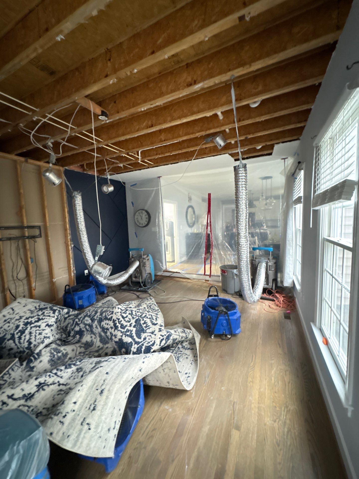 Ceiling section with visible mold growth and moisture damage requiring remediation work.