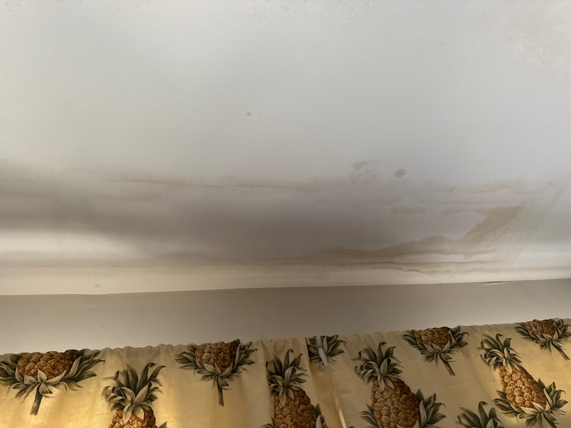 Continued drying phase with thermal monitoring to track moisture migration and verify drying progress.