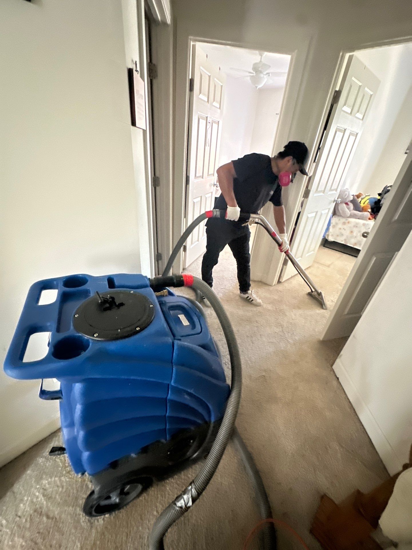 Standing water extraction underway in Gainesville water damage restoration, initial assessment phase.