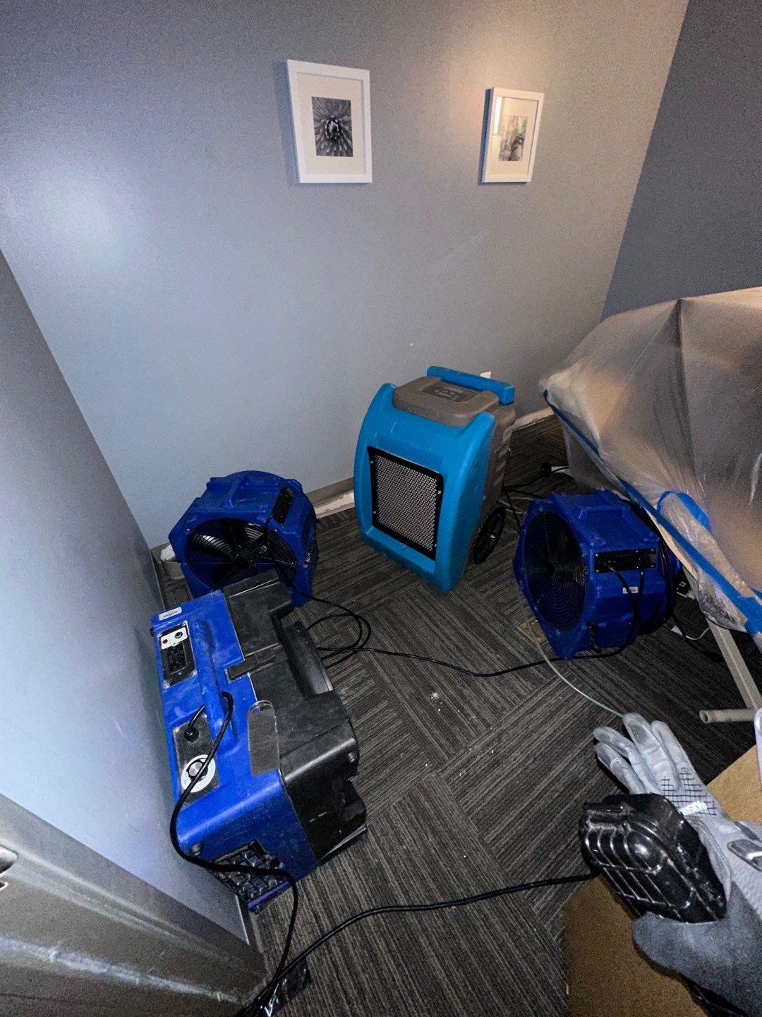 Mid-stage drying operation with multiple dehumidifiers and air movers managing moisture removal across affected areas.