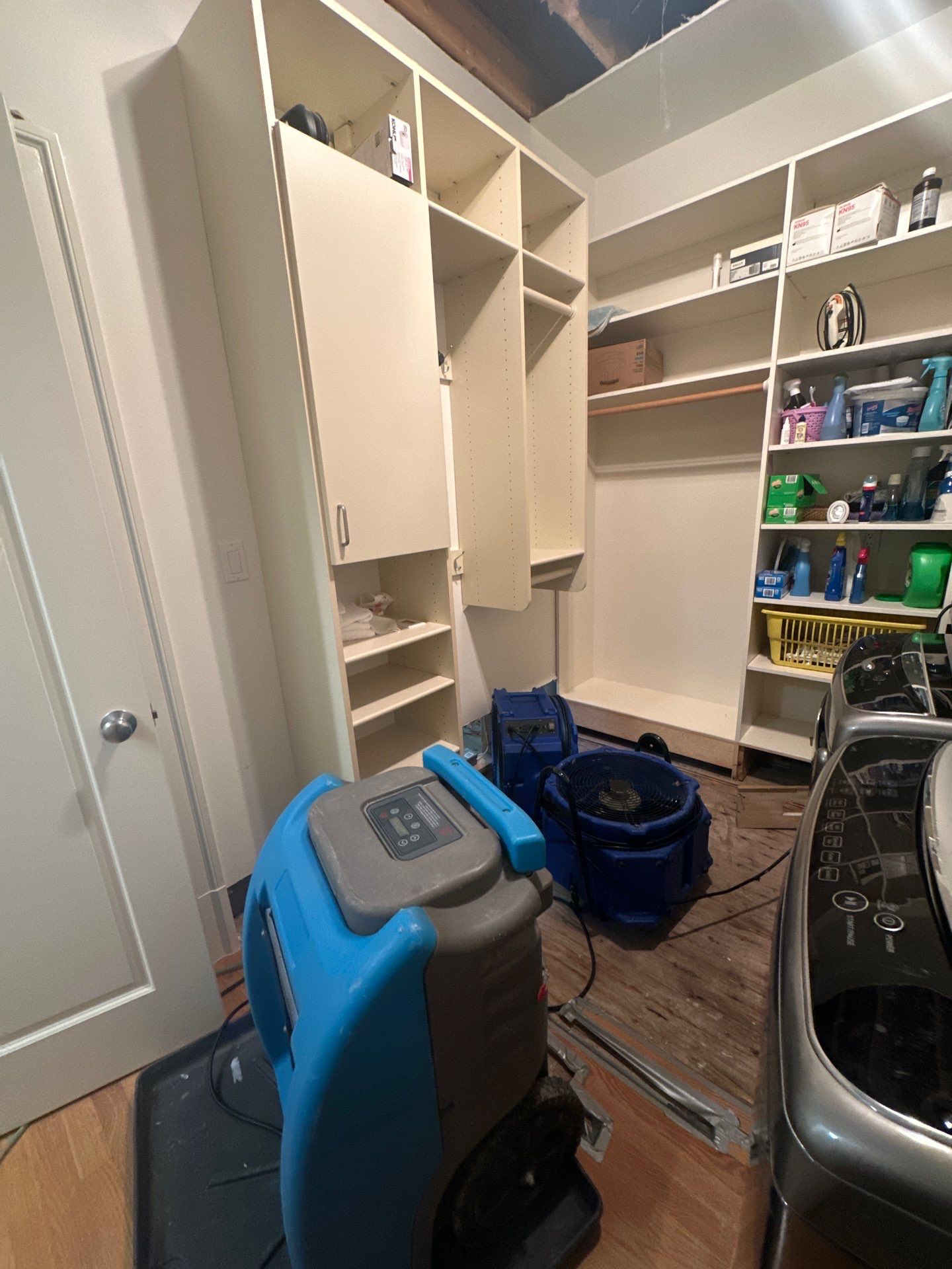 Carpet and padding extraction from damaged areas, contained to limit spread of contaminated materials.