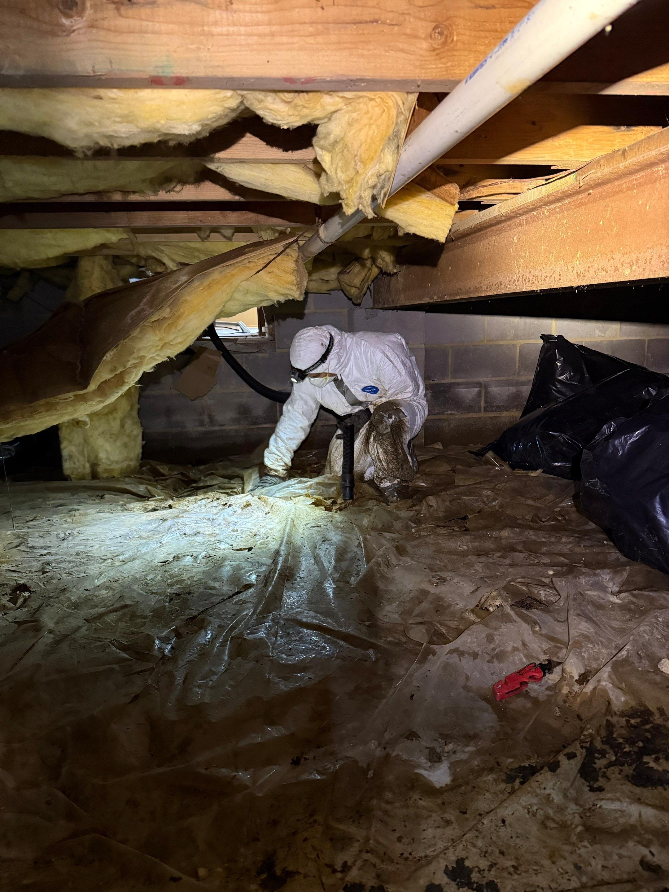 Removed wall materials staged for disposal, structural framing prepared for replacement.