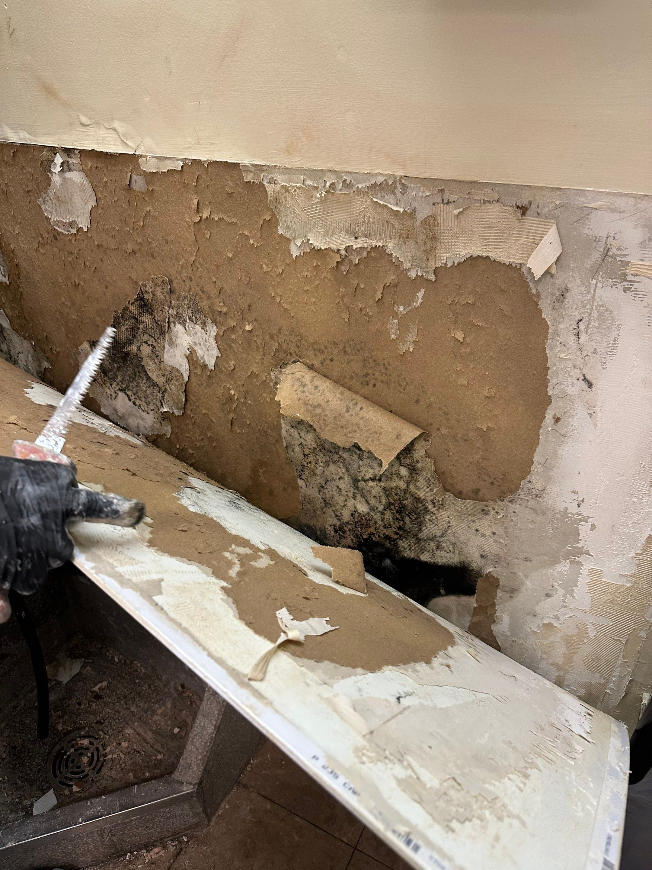 Flooring removal and drying phase with dehumidifier operating within sealed containment area.
