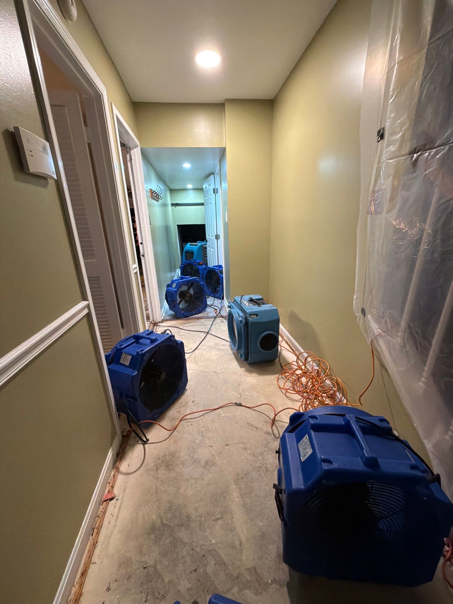 Drying equipment operation mid-restoration, monitoring moisture levels in structural materials and subfloor.