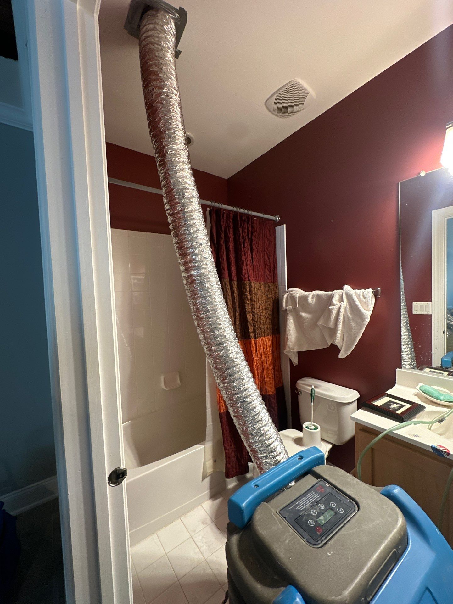 Mold remediation in Haymarket: affected ceiling framing exposed for inspection and drying assessment.