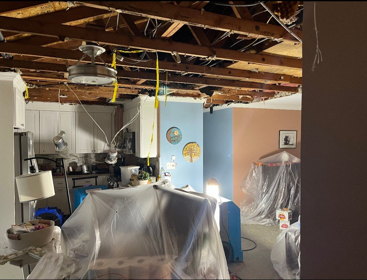 Final thermal inspection confirms moisture removal and structural drying completion in Alexandria.