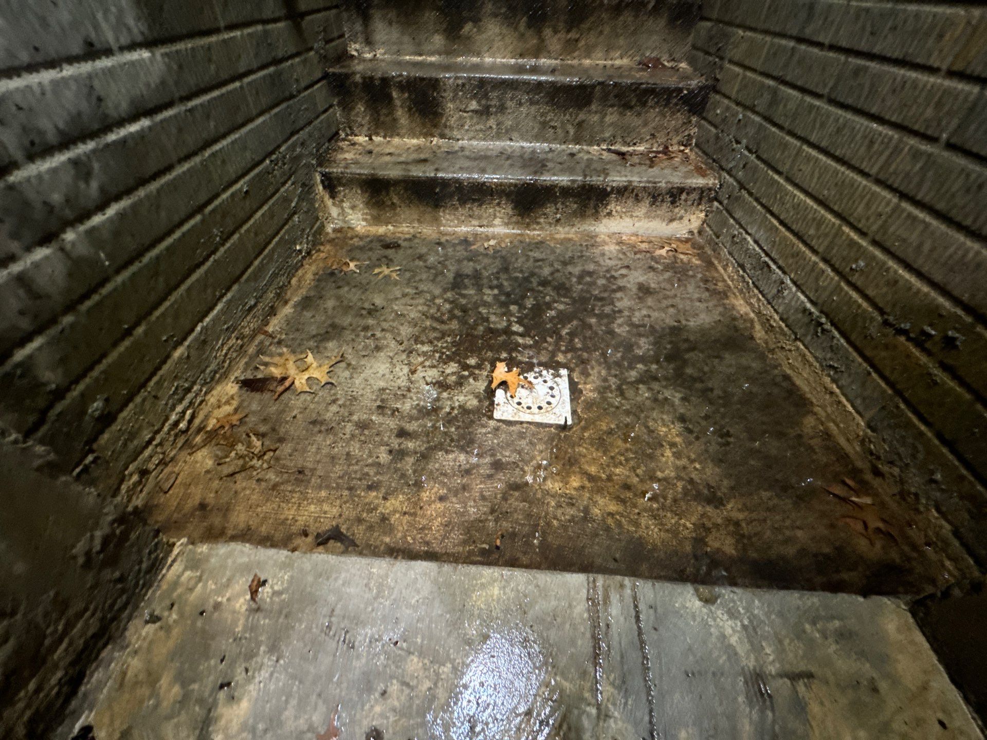 Restored flooring after water damage removal and structural drying completed in Alexandria.