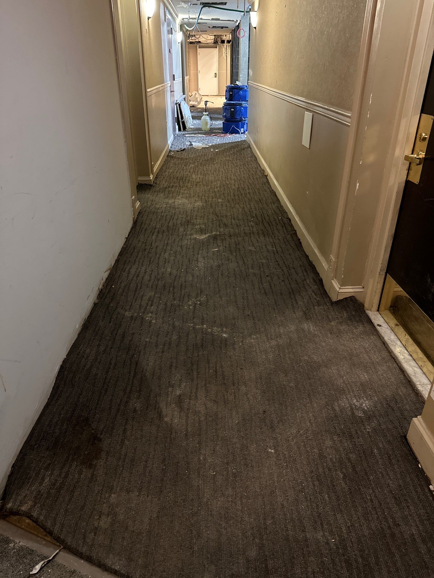 Final drying phase of mold remediation in Arlington, Virginia.