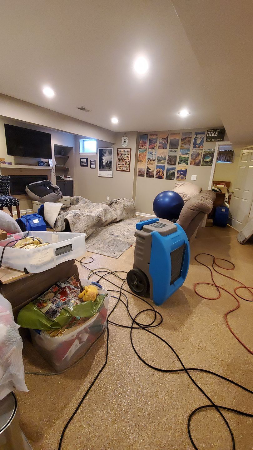 Multiple air movers and dehumidifiers operating in tandem to accelerate evaporation across wet surfaces.