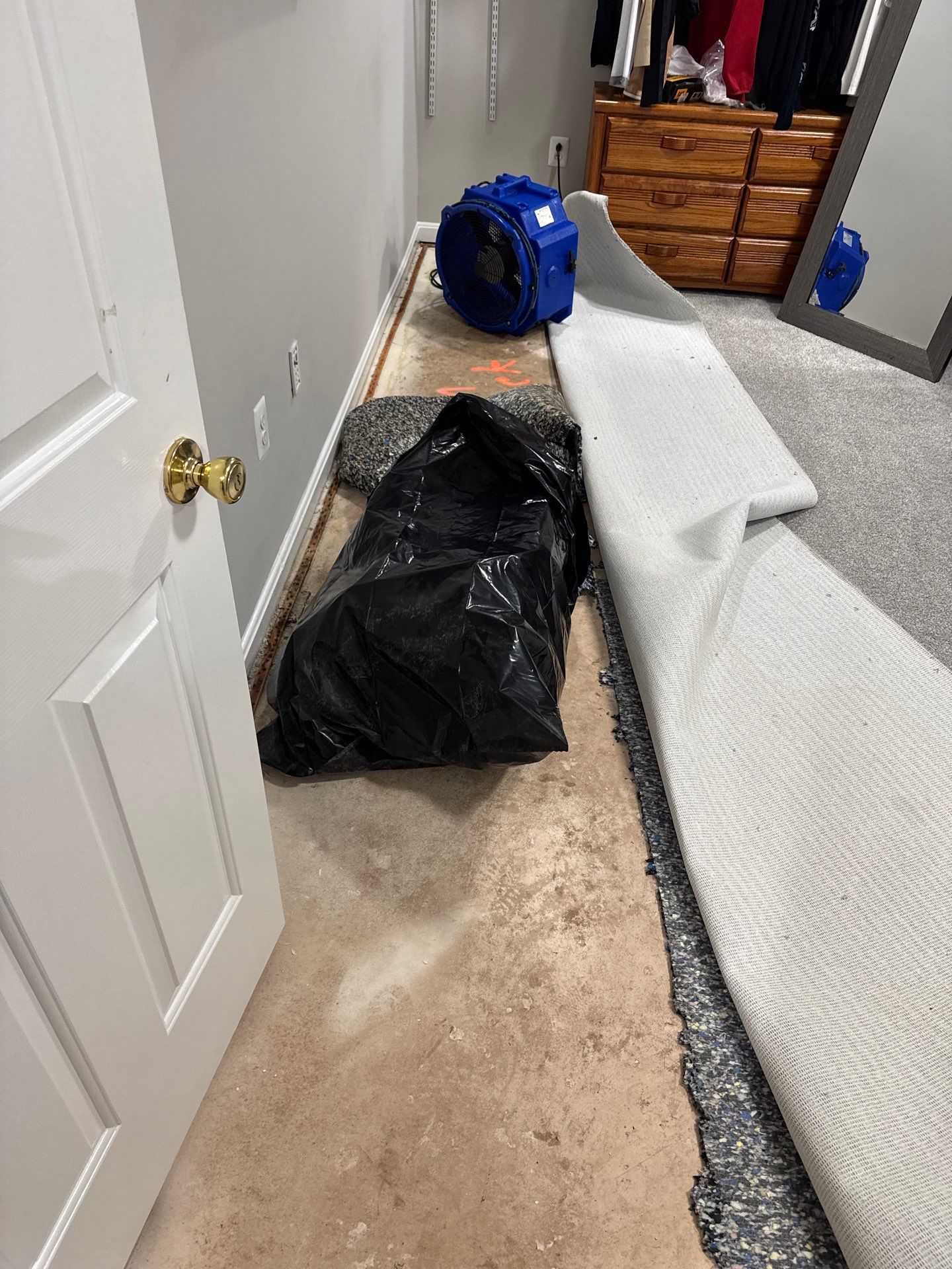 Standing water extraction underway in Chantilly water damage restoration, removing pooled water from flooring.