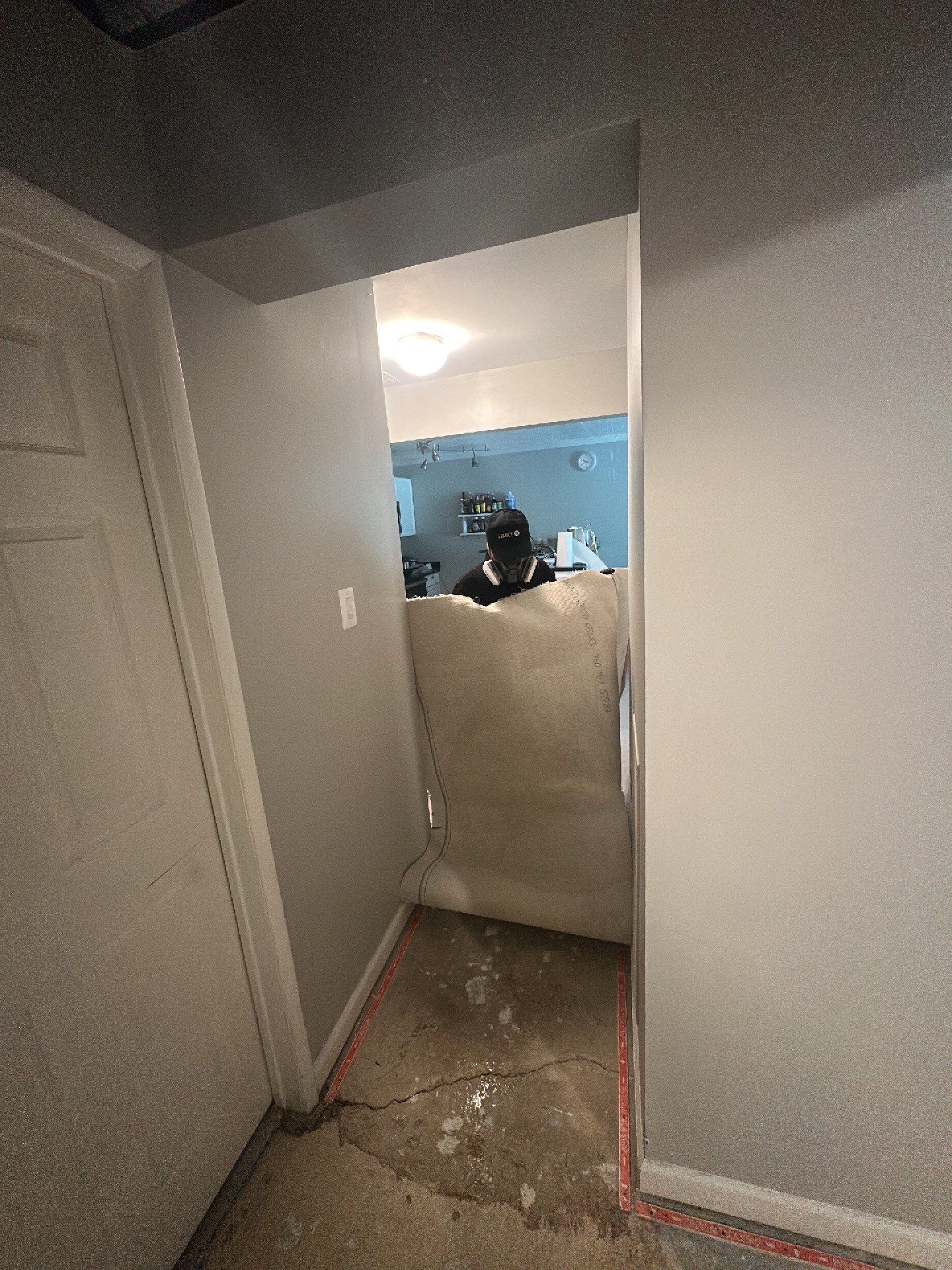 Moisture mapping in progress across affected wall cavities and framing.