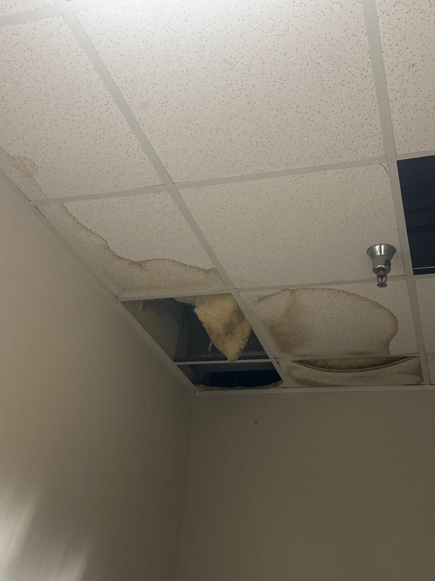 Thermal imaging camera documenting moisture distribution during water damage assessment in Fredericksburg.