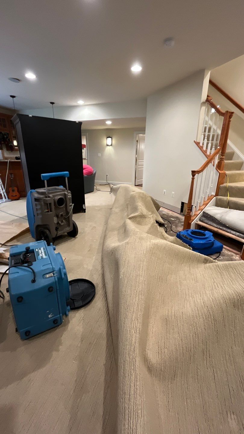 Final-stage sanitization and antimicrobial treatment applied to restored surfaces and structural materials.