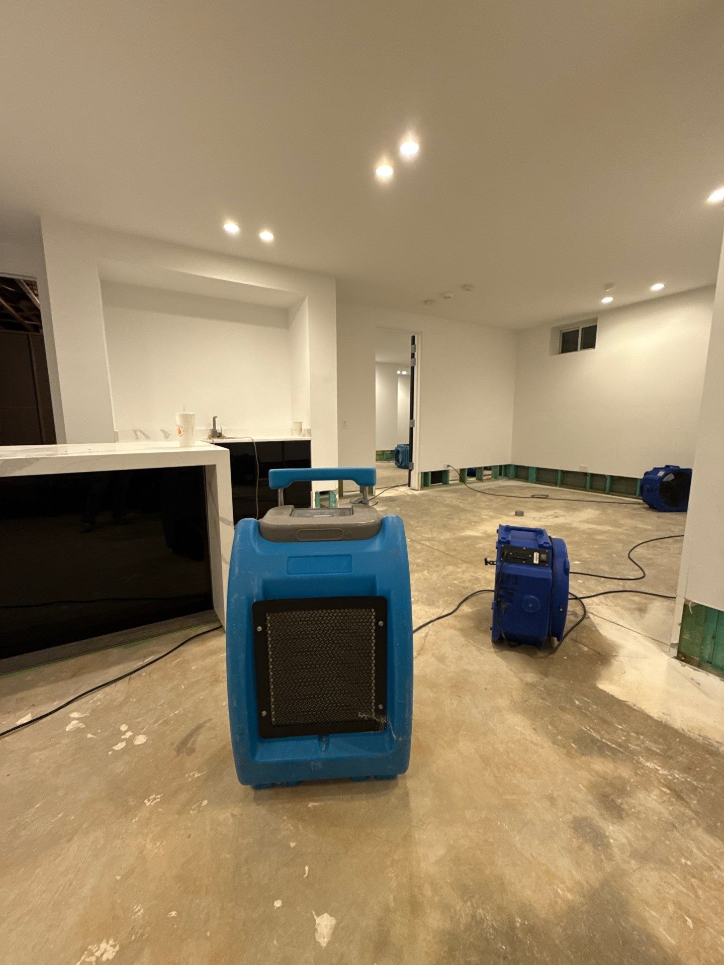 Mold remediation in Vienna begins with structural assessment and moisture mapping to guide drying strategy.